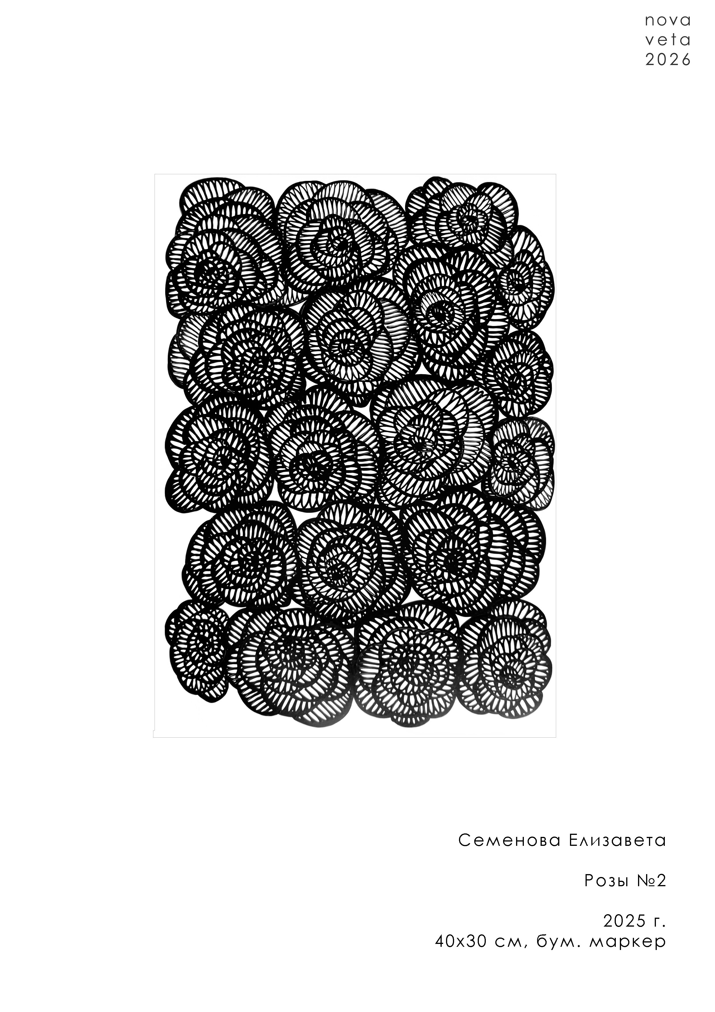 Графика. Семенова Елизавета художник, керамист, преподаватель