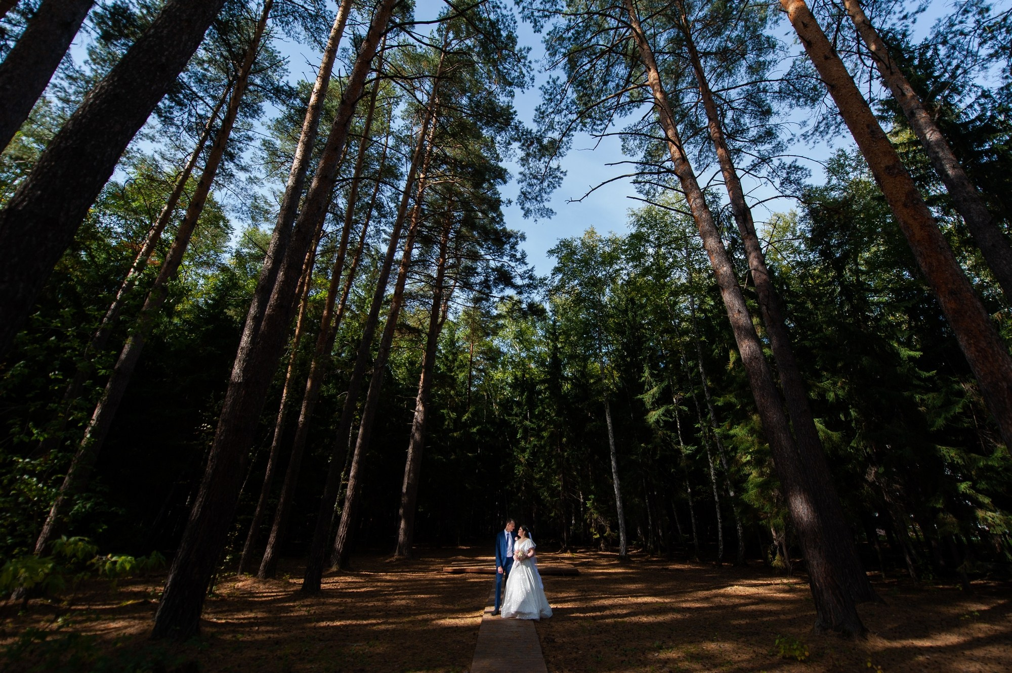 Свадебный и семейный фотограф в Омске Мормулев Михаил. Свадебный и семейный фотограф в Омске Мормулев Михаил