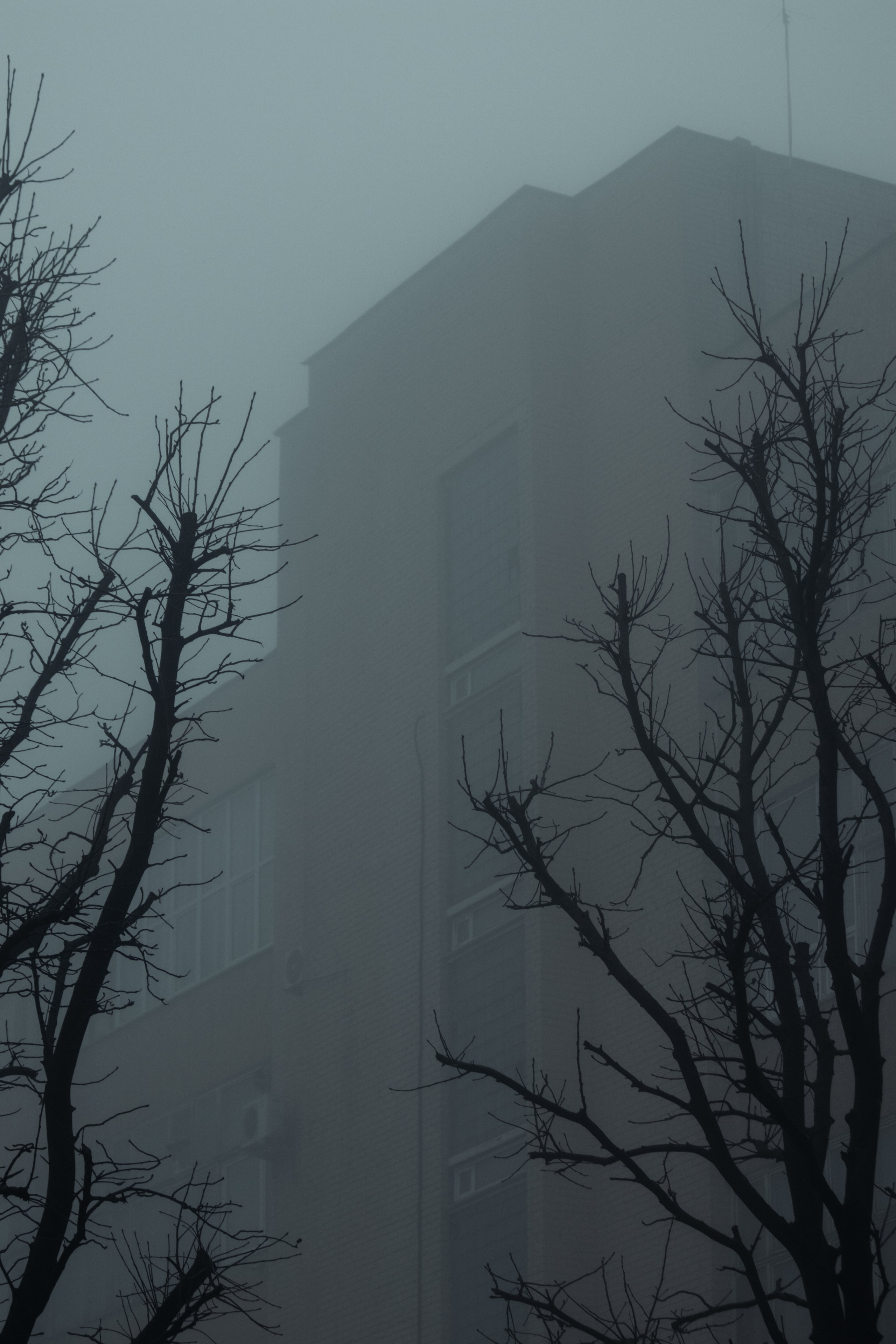 Т У М А Н. — Digital Noise —