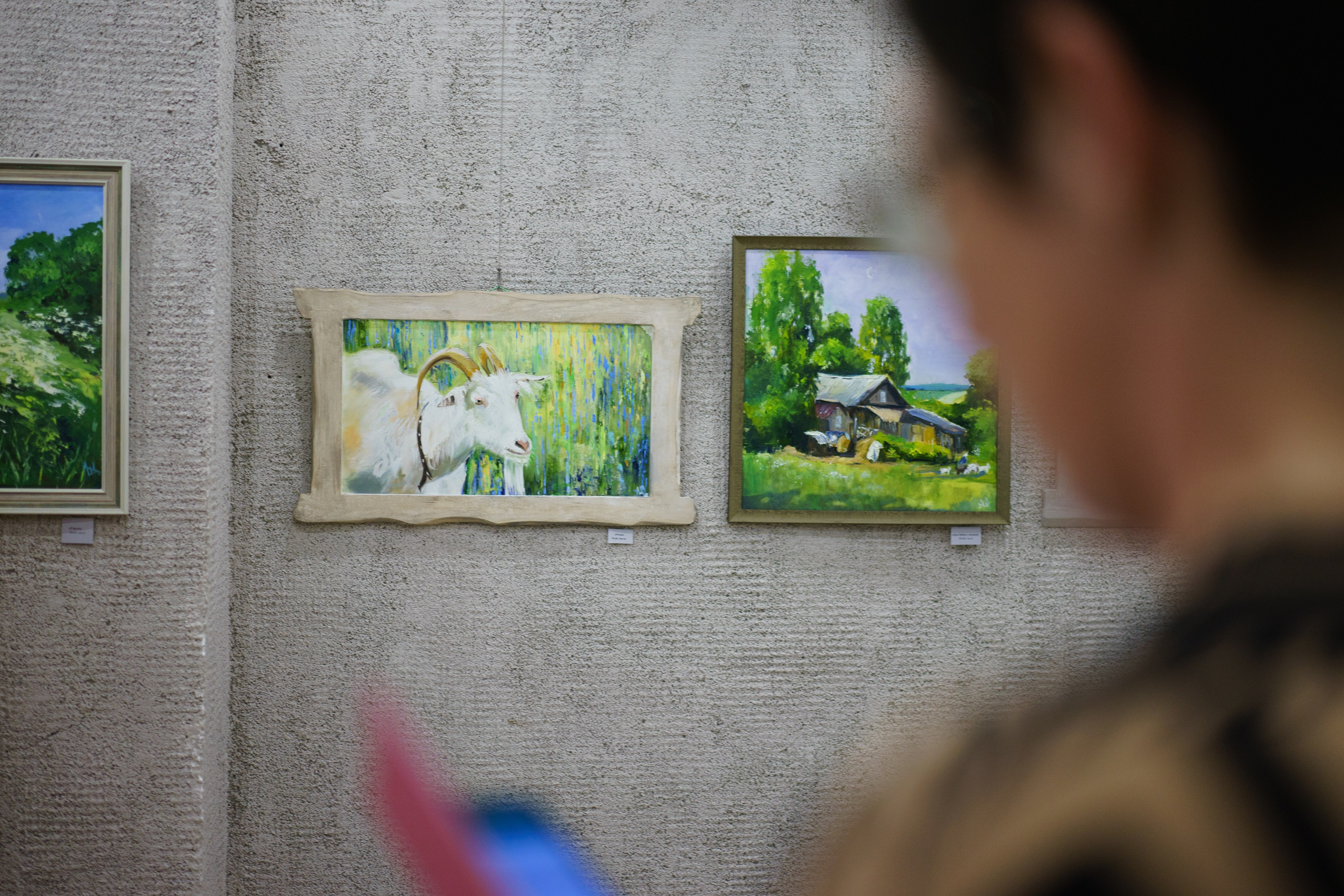 Шереметьева Алёна, Бёхово, Пущино, выставка картин, художник. Лиза Фирстова — самый добрый фотограф