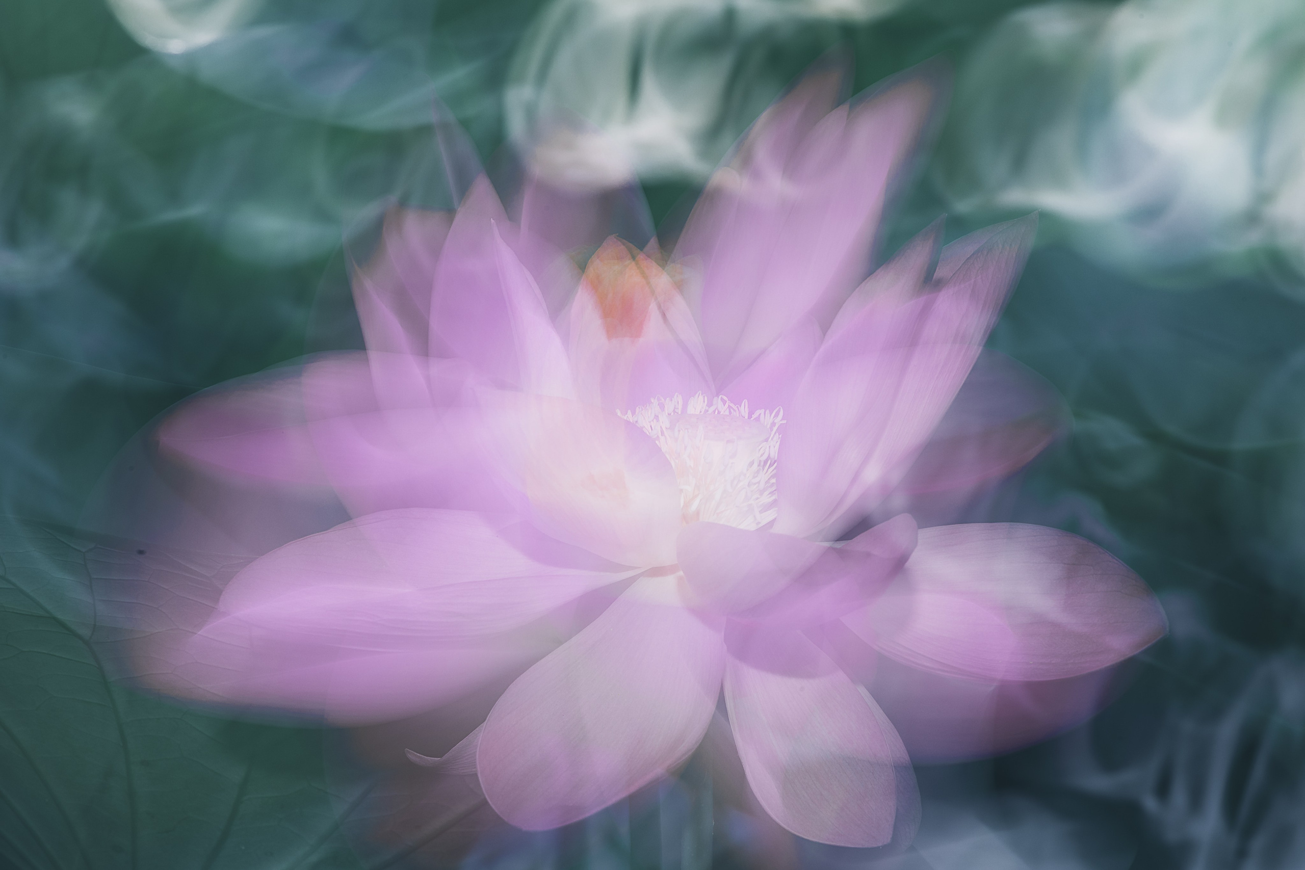 Астраханская область 2025 | Фотограф Дмитрий Купрацевич. Дмитрий Купрацевич профессиональный пейзажный и travel-фотограф