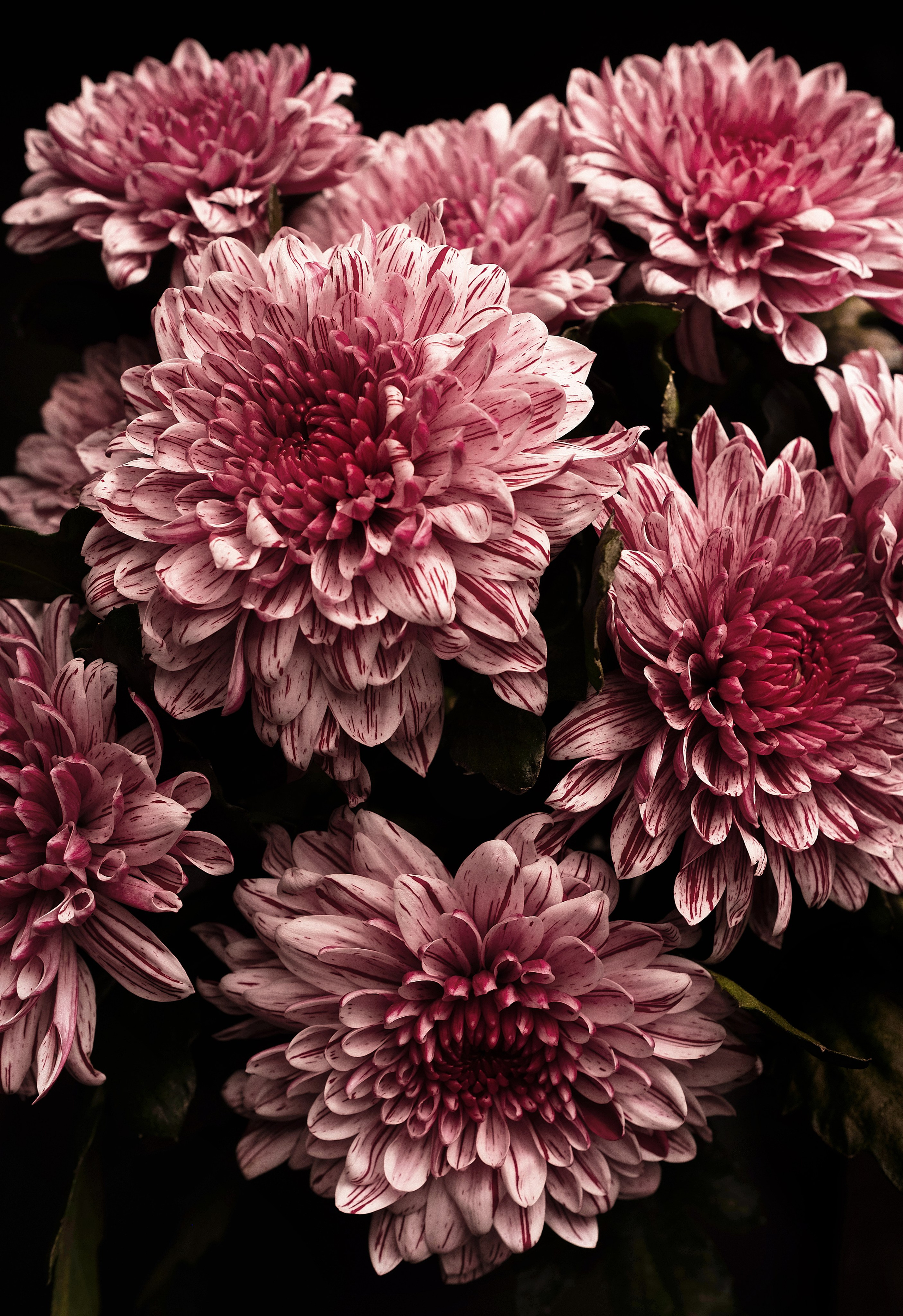 Портретный фотограф