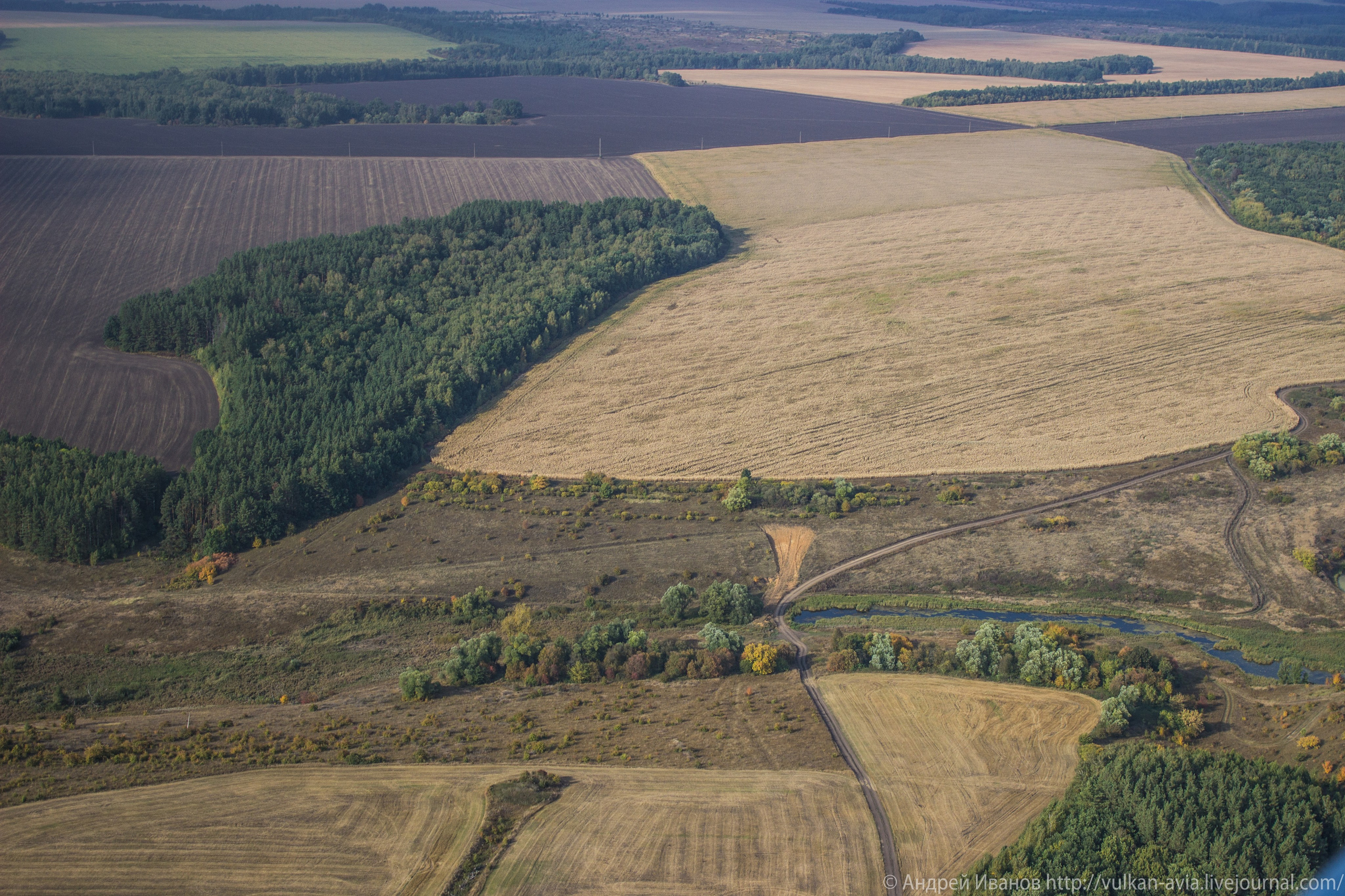 Волгодонск аэр. Потапов слёт «Небо для всех» (2021 г.). Фотоальбом показывающий увлекательный мир авиации и мир медведей Андрея Иванова