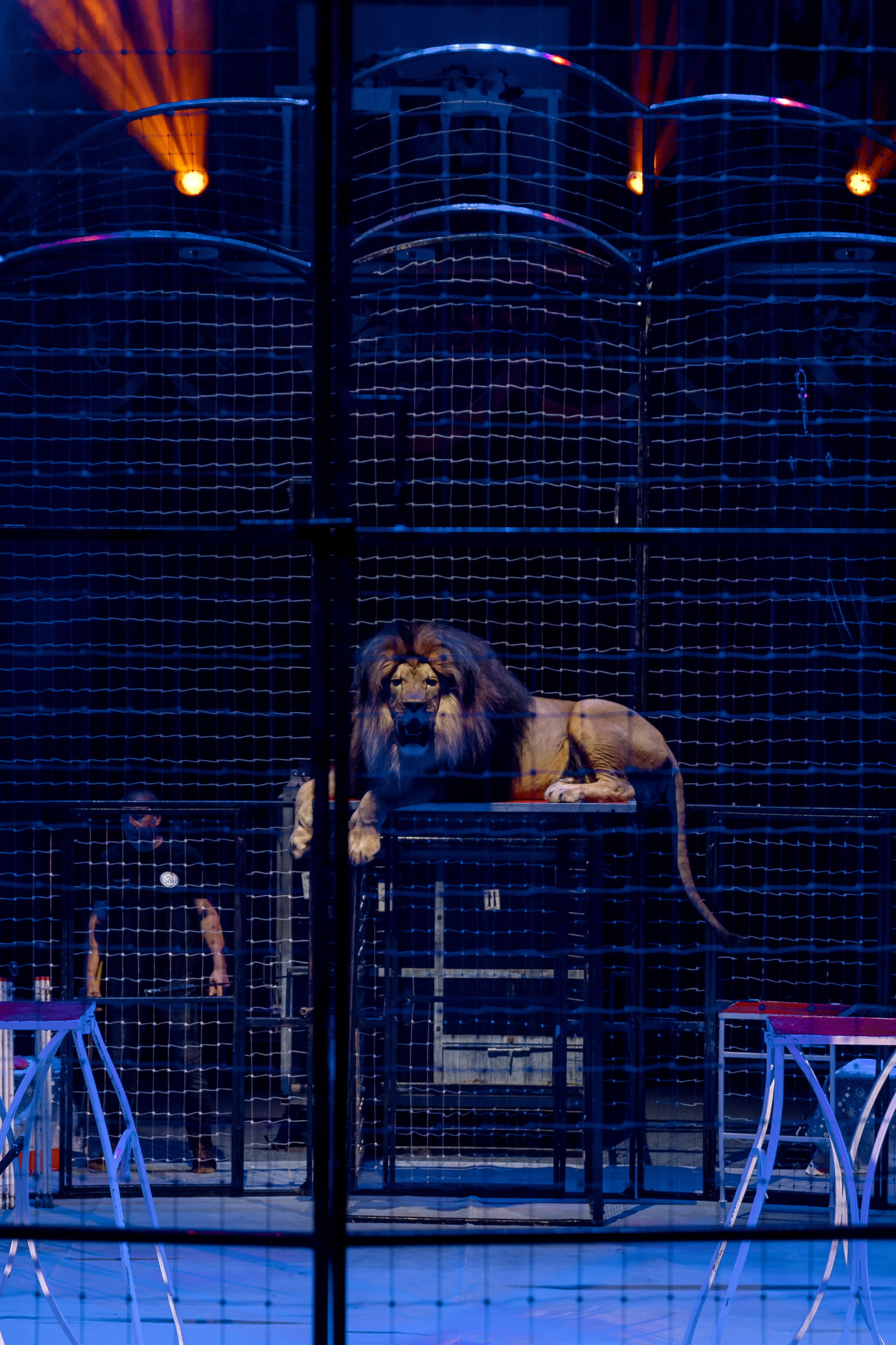 Цирк Moretti в Иркутске. Свадебный фотограф Иркутск, репортажный фотограф Иркутск