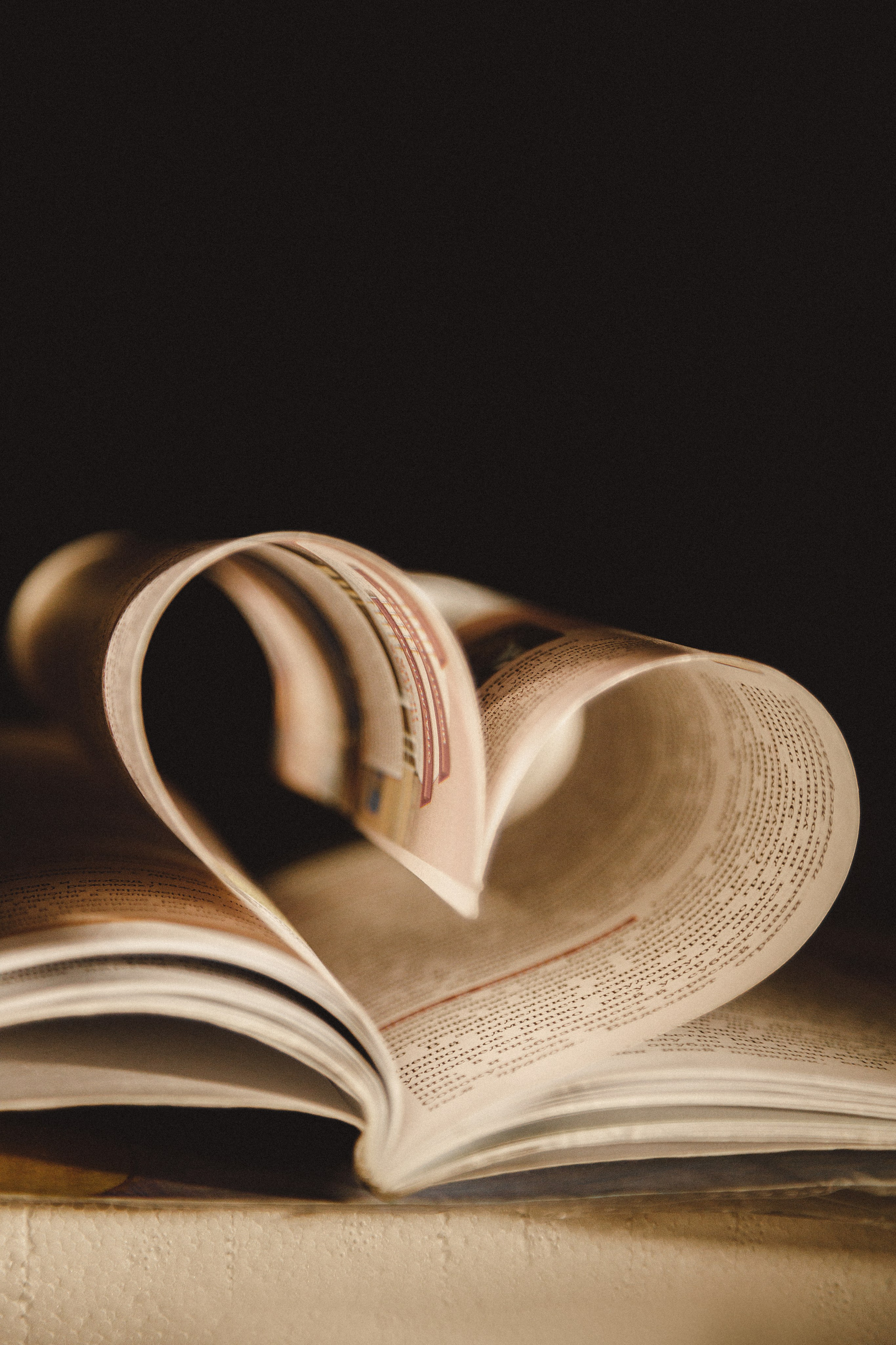 Проект «366»|2024|Фото каждый день. LENA GRACE photographer ||ЛЕНА ГРЭЙС фотограф