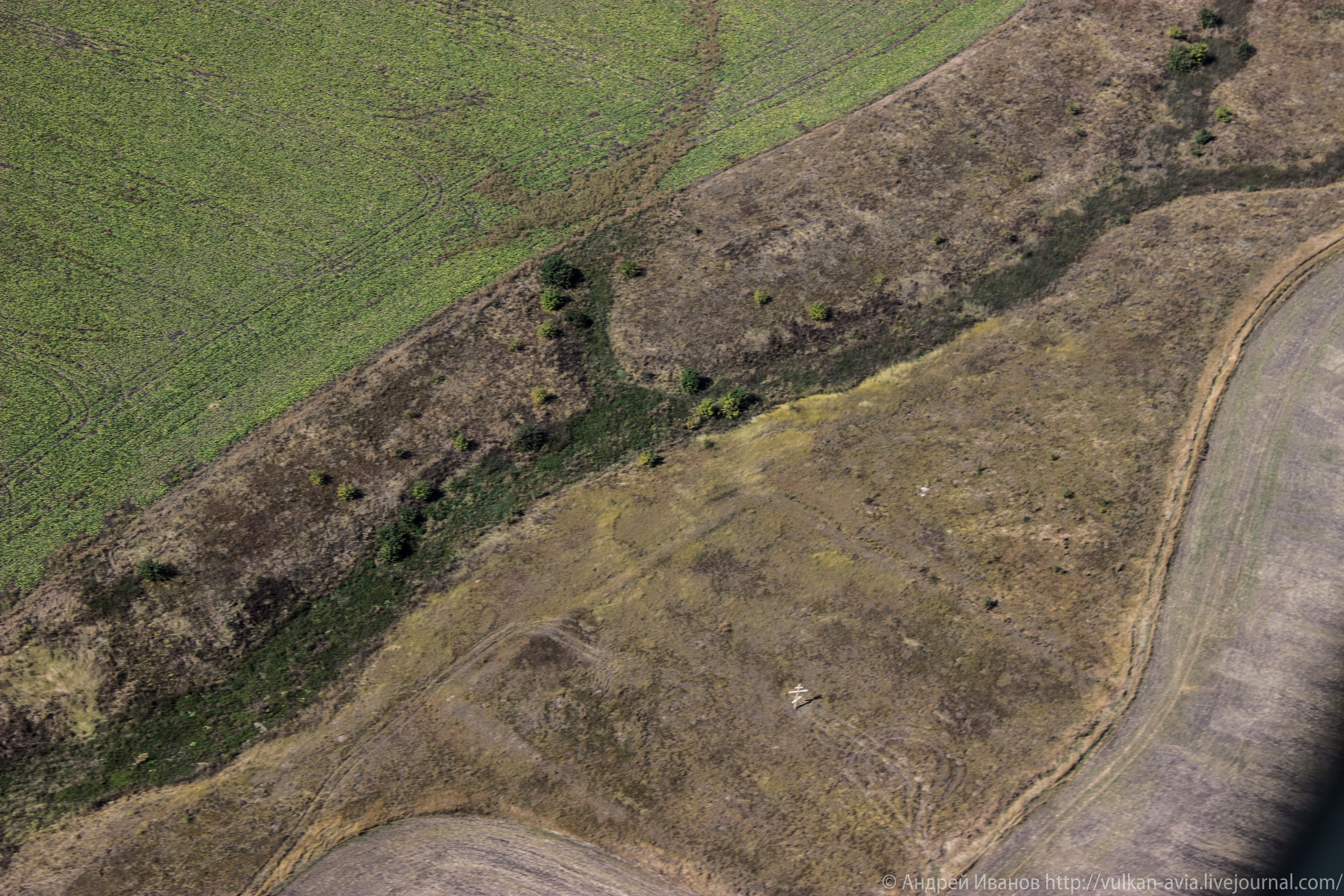 Волгодонск аэр. Потапов слёт «Небо для всех» (2021 г.). Фотоальбом показывающий увлекательный мир авиации и мир медведей Андрея Иванова