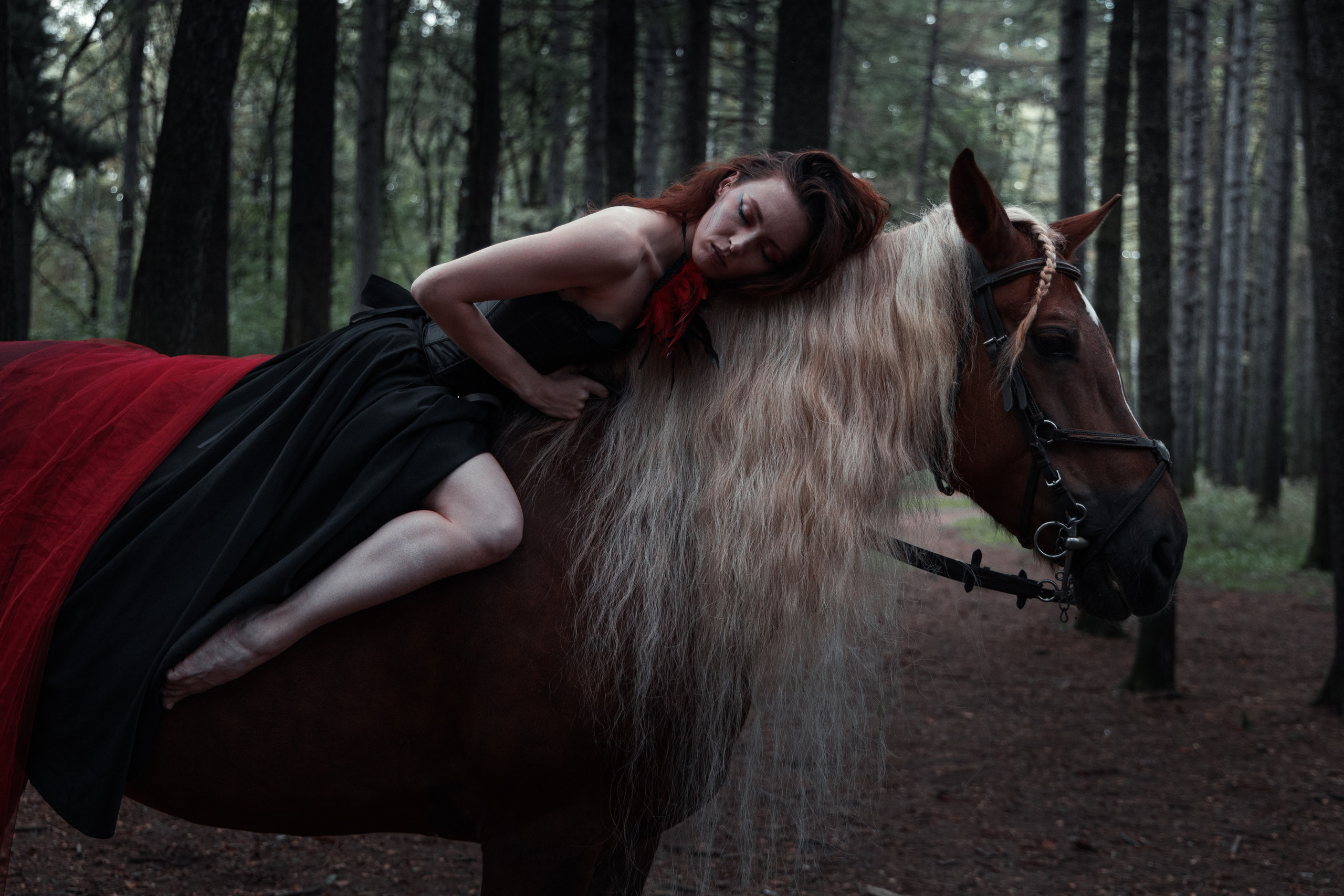 Портфолио. Фотограф в Москве Ковальчук Елена