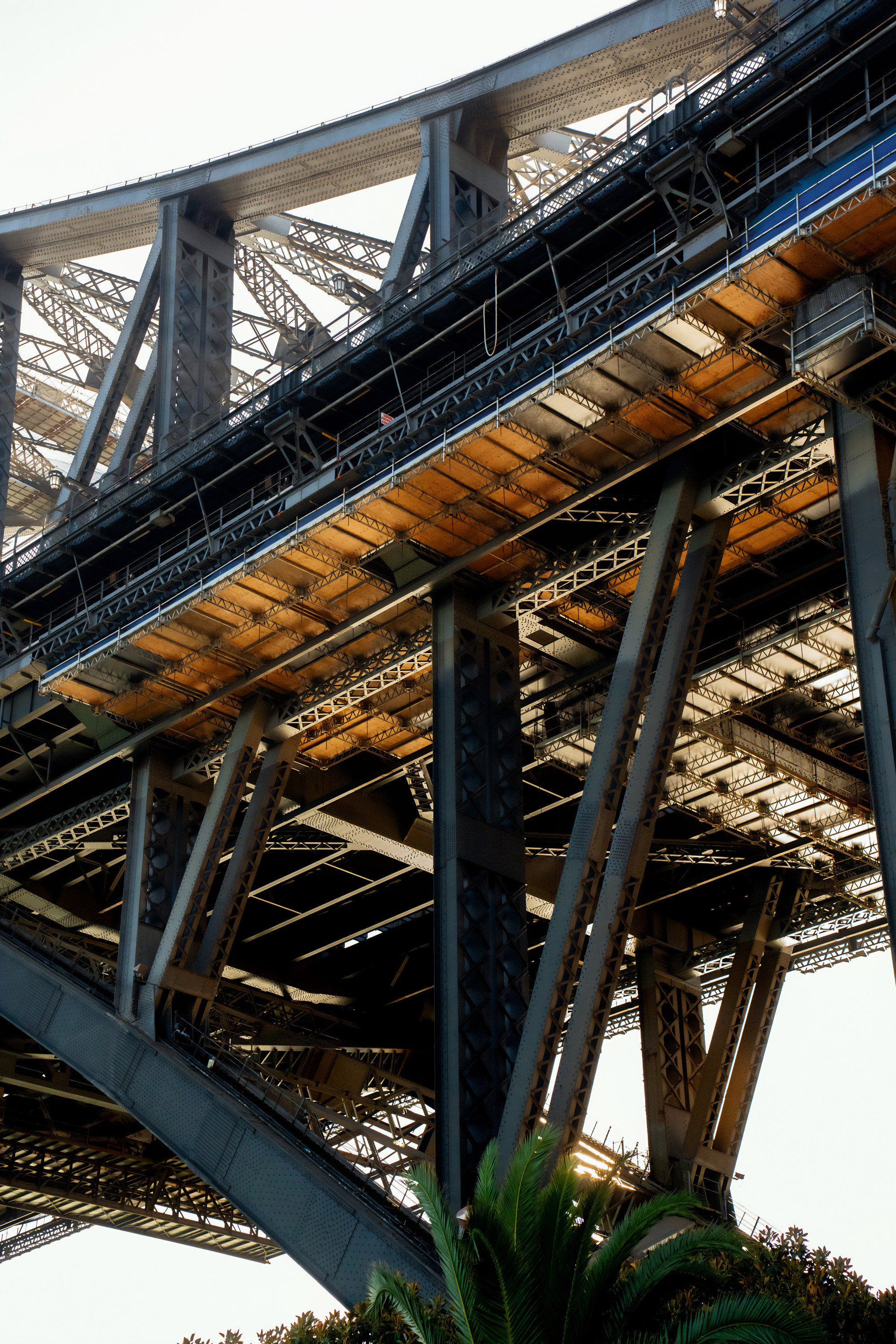 Портфолио. Фотограф в Хабаровске. Фотография за 24 часа