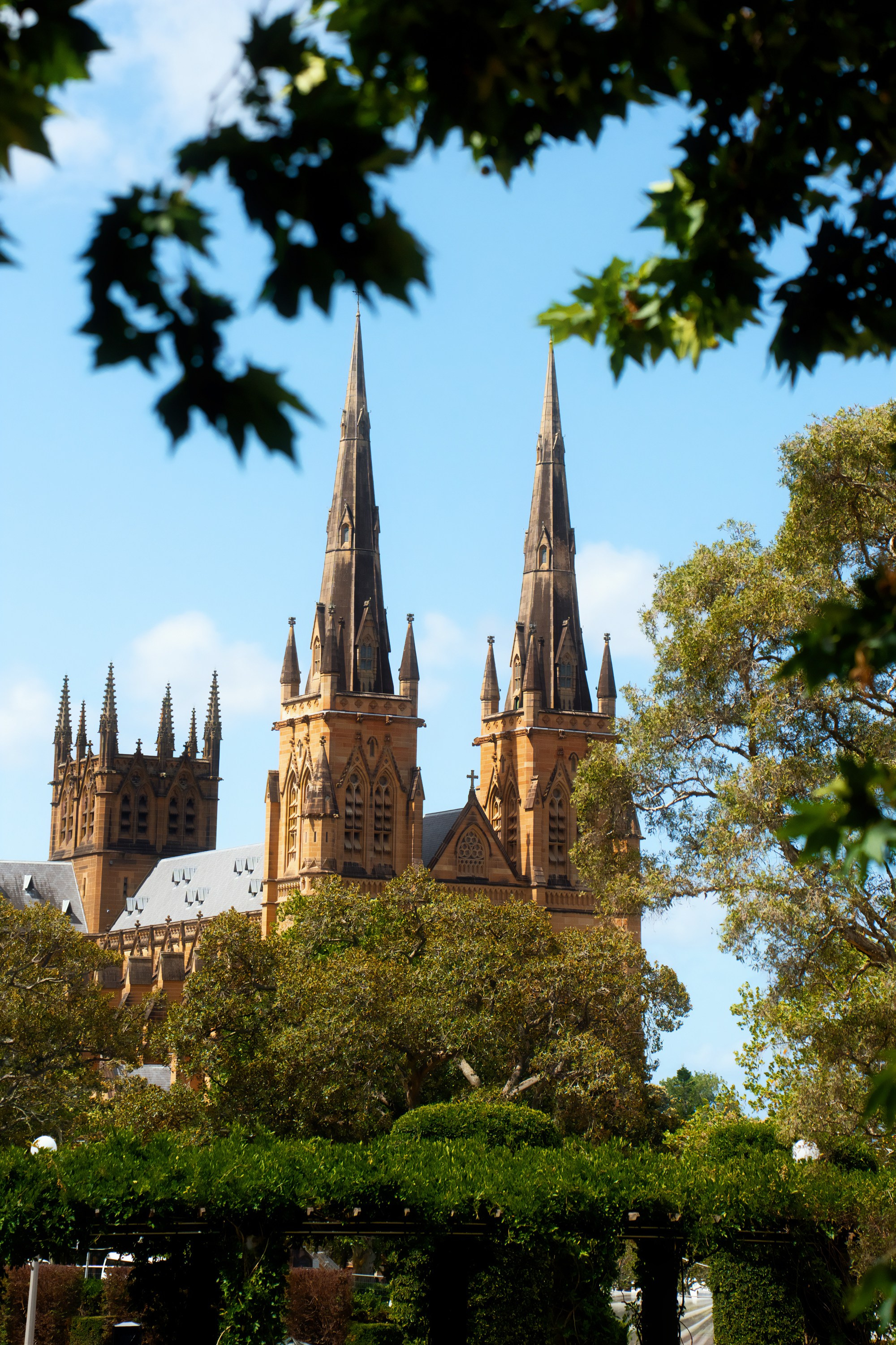 Австралия. Фотограф в Хабаровске. Фотография за 24 часа