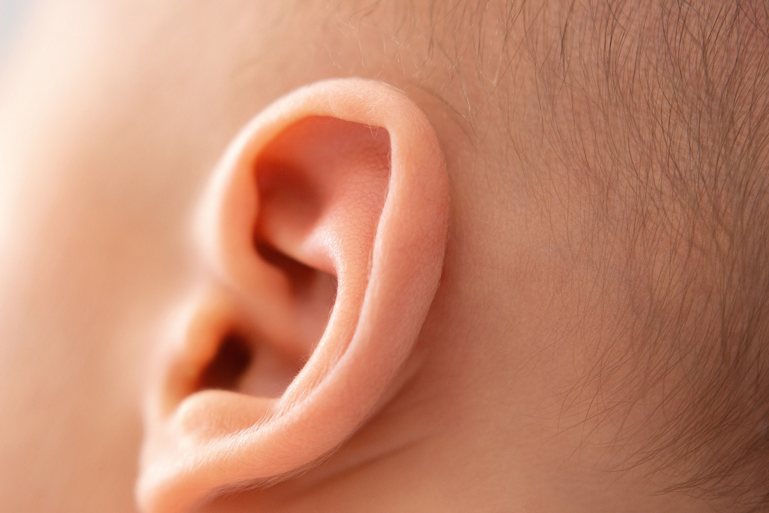 Новорождённые малыши