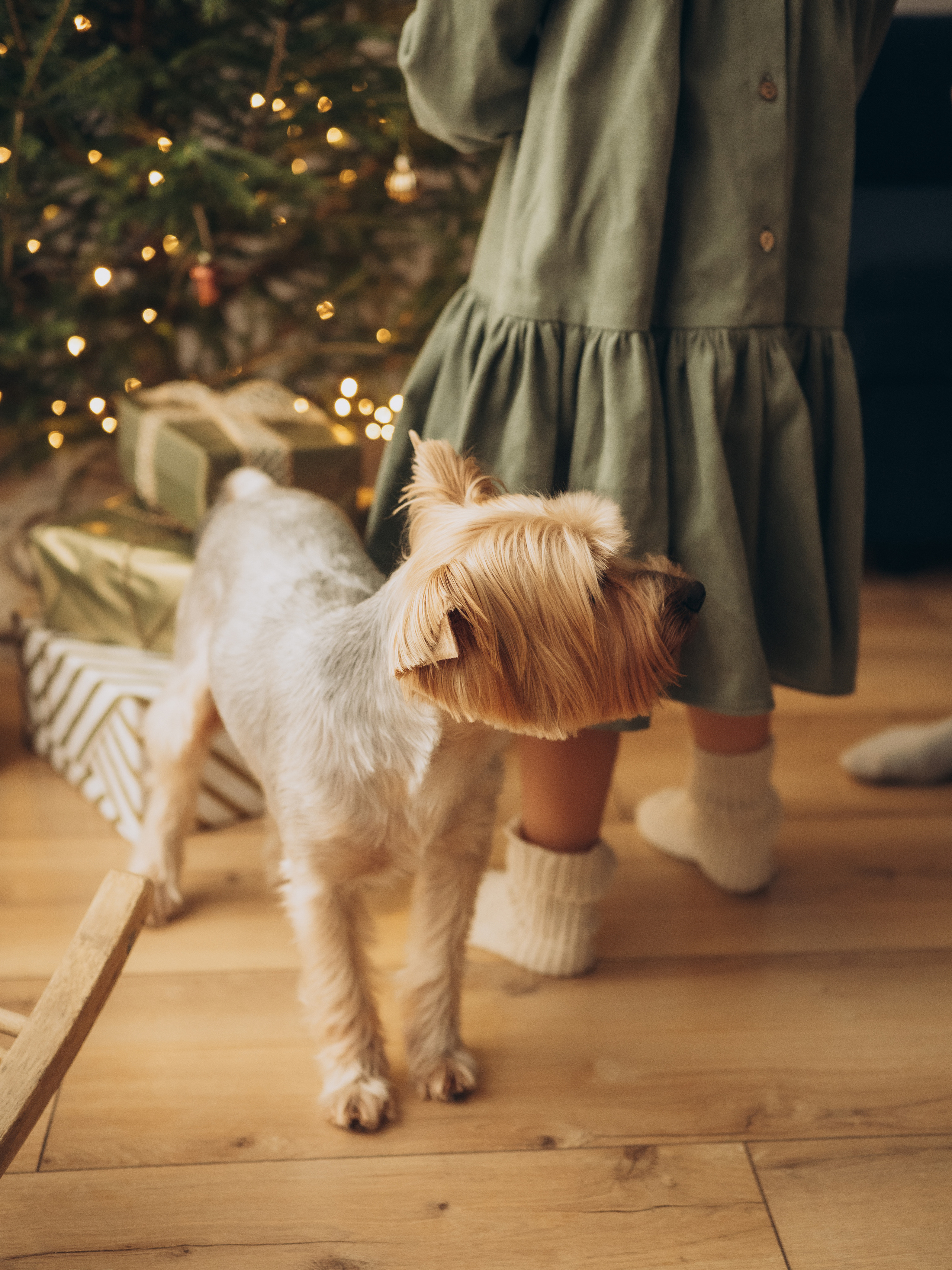 Аня, Лёша и Алиса. Семейный фотограф в Ярославле Анардович Любовь