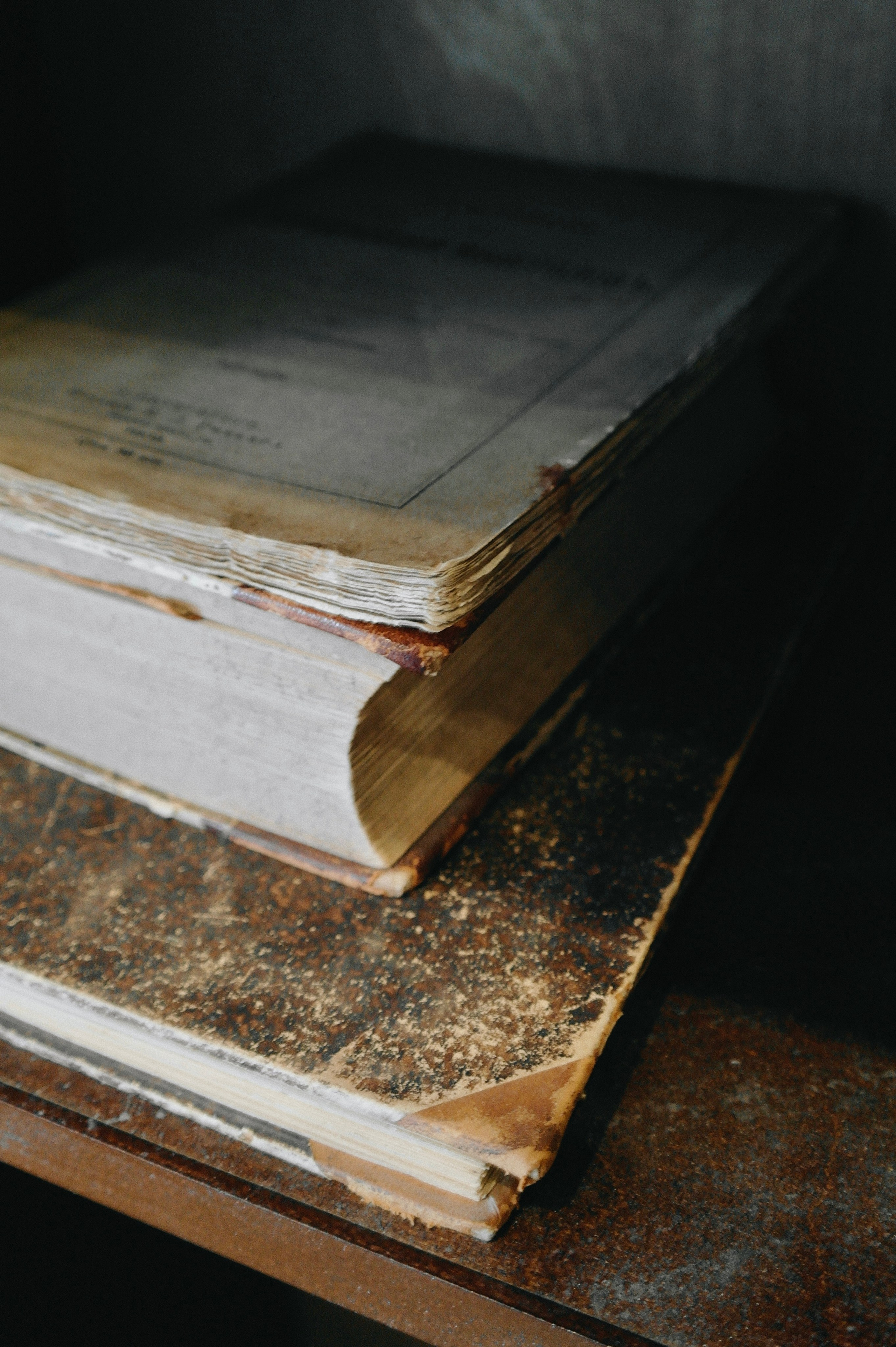 Переделкино. Татьян гертье