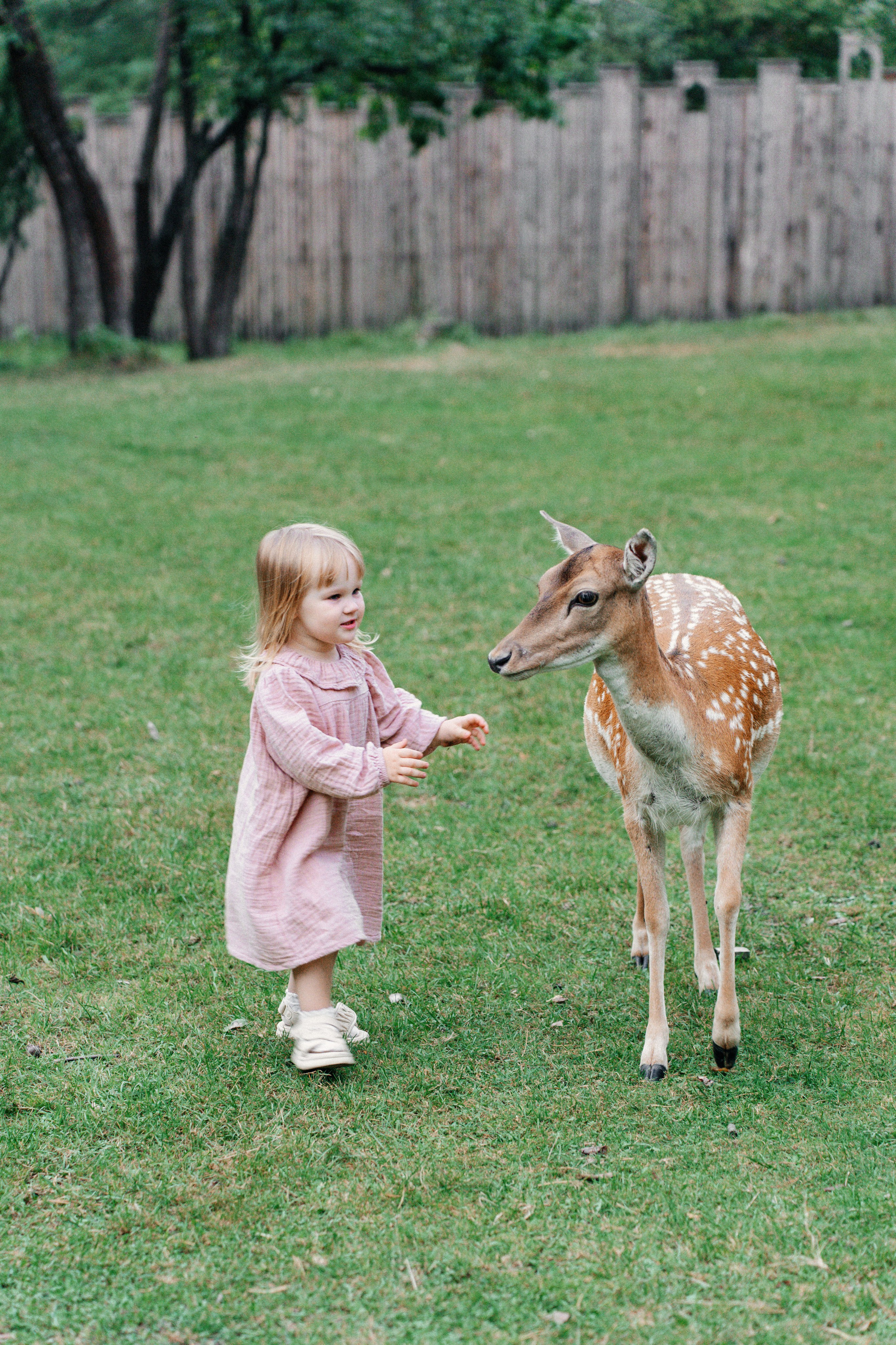 Диприз — в мире диких животных. Ваш семейный фотограф в Минске — Вика Трегубова