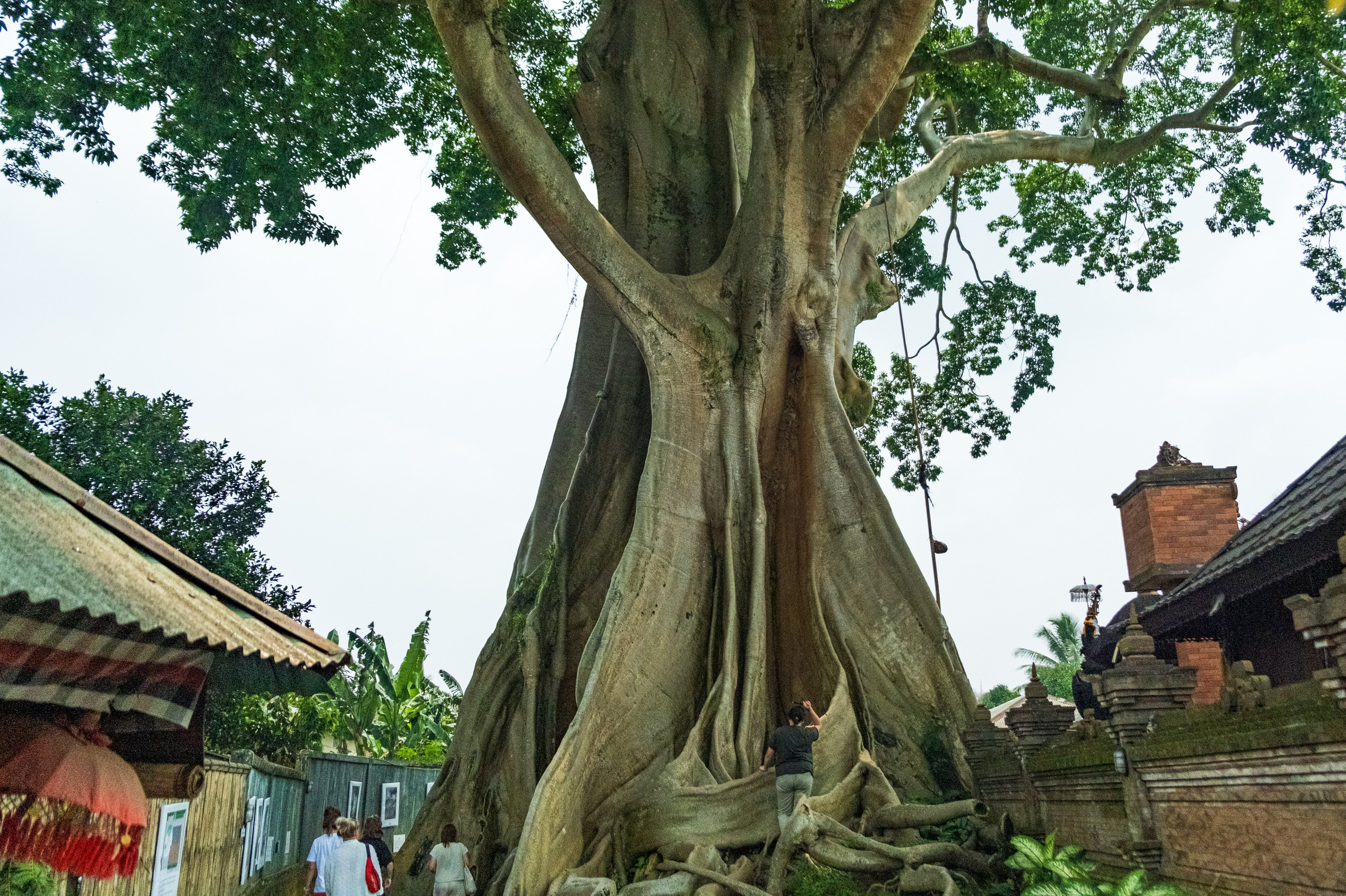 Остров Бали. Фотографии из путешествий