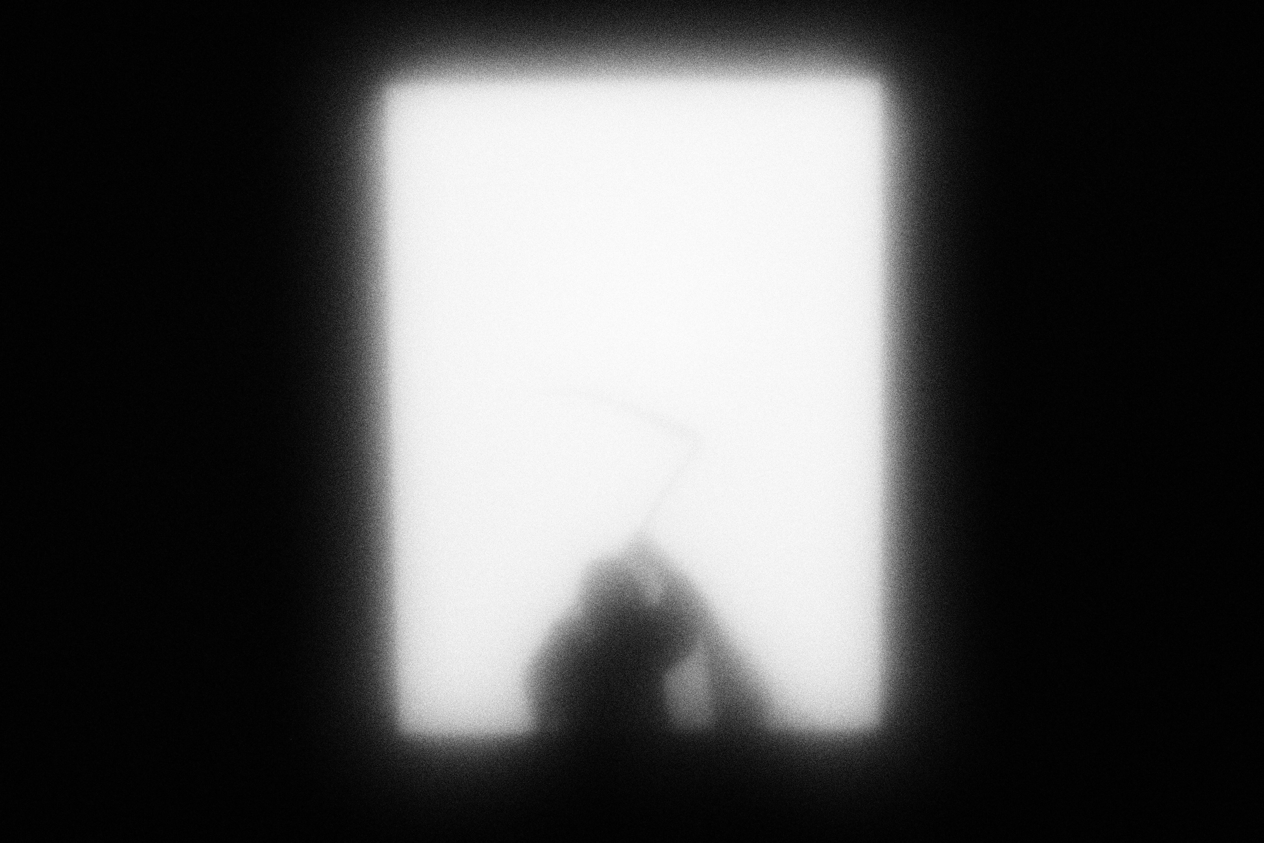 Маленькие искусства и я, Полина Шадрина