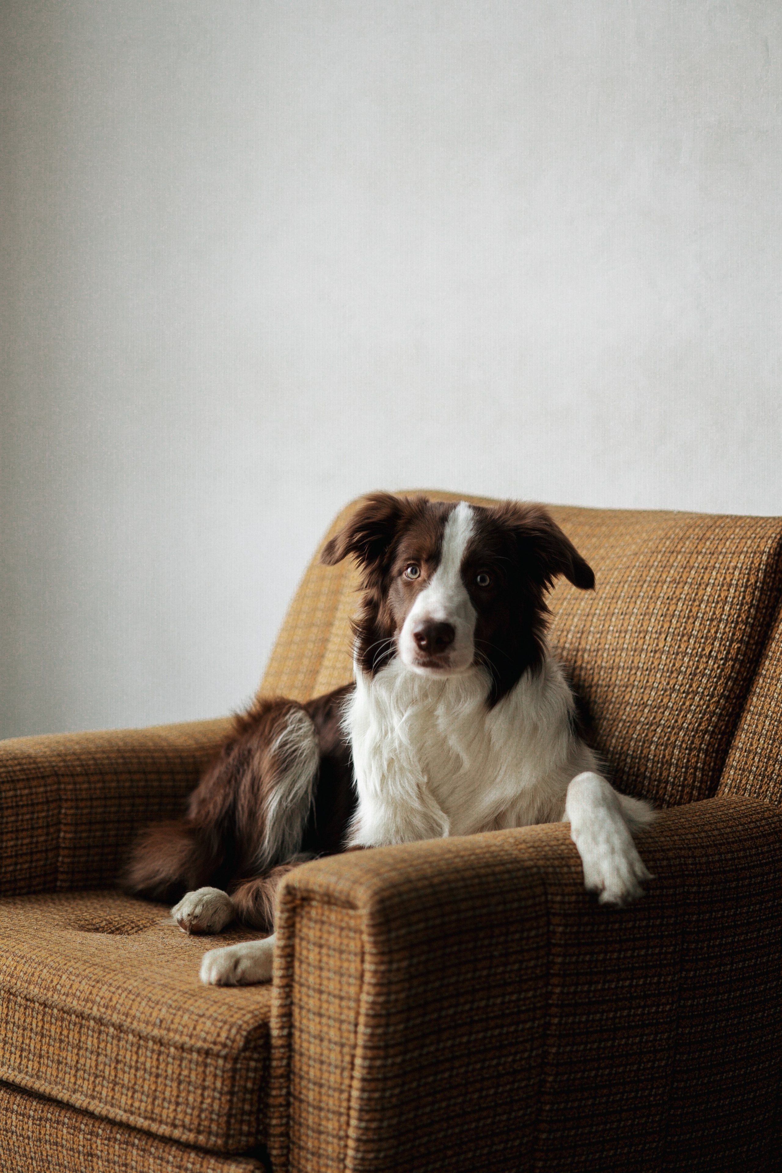 Настя и Симба. Фотограф — Анималист | Санкт-Петербург