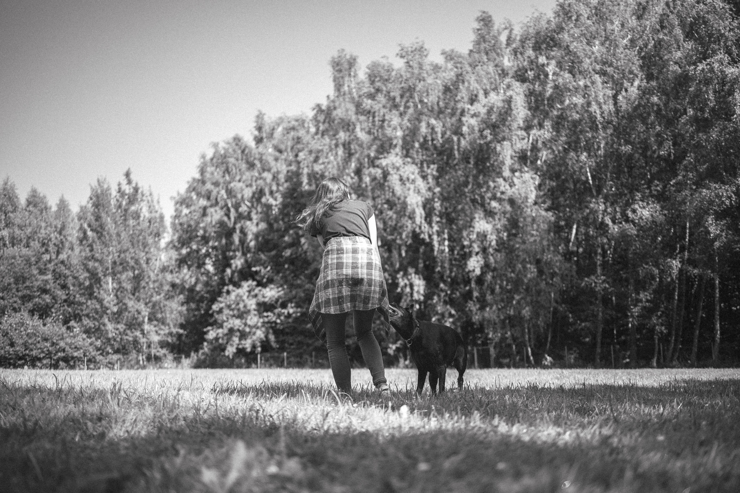 Доберман Айза. Фотограф Анималист в Москве Анастасия Жучкова