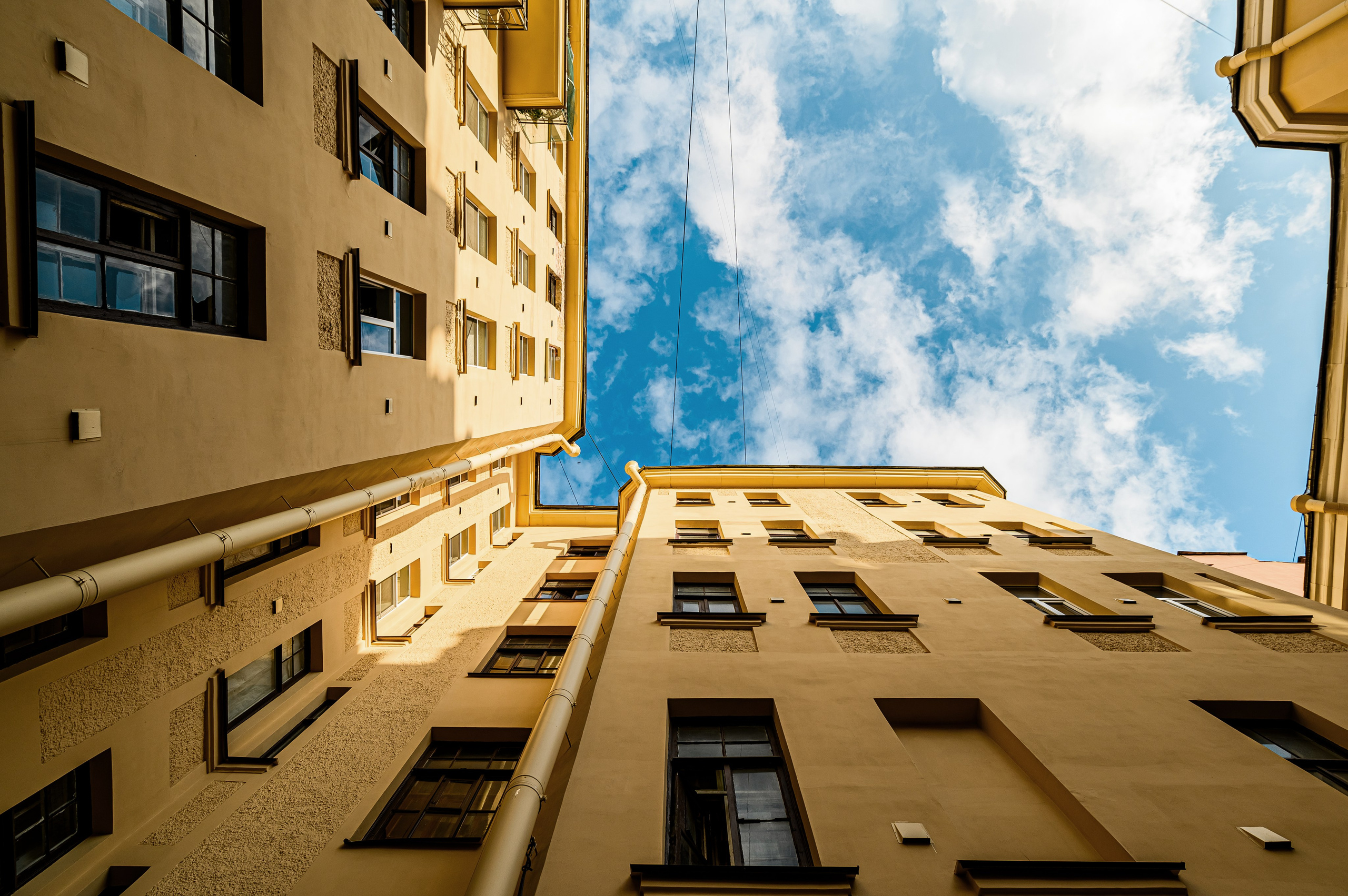 10-я линия В.О., 25