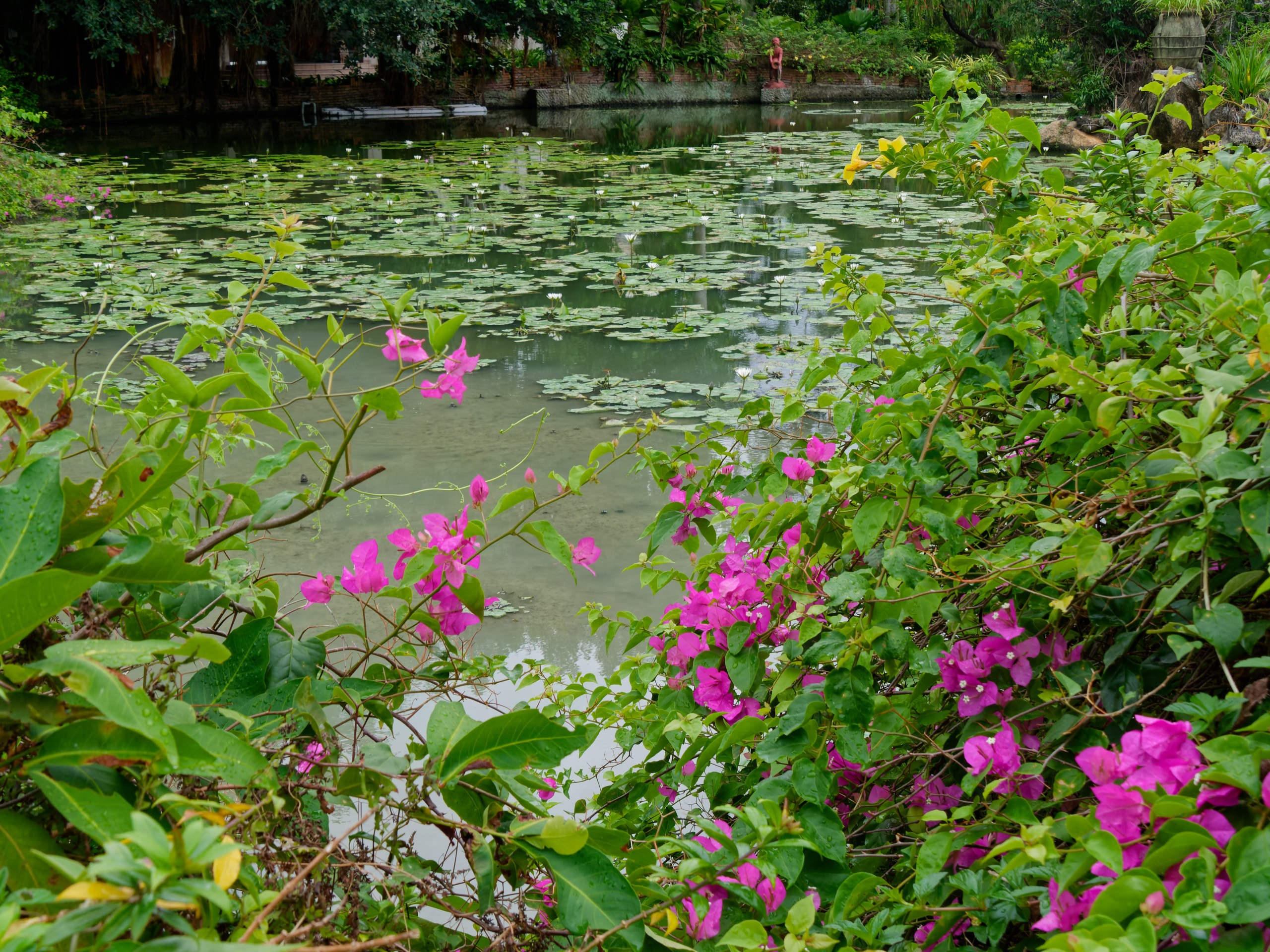 Нячанг 2025 (4). Избранные фотографии