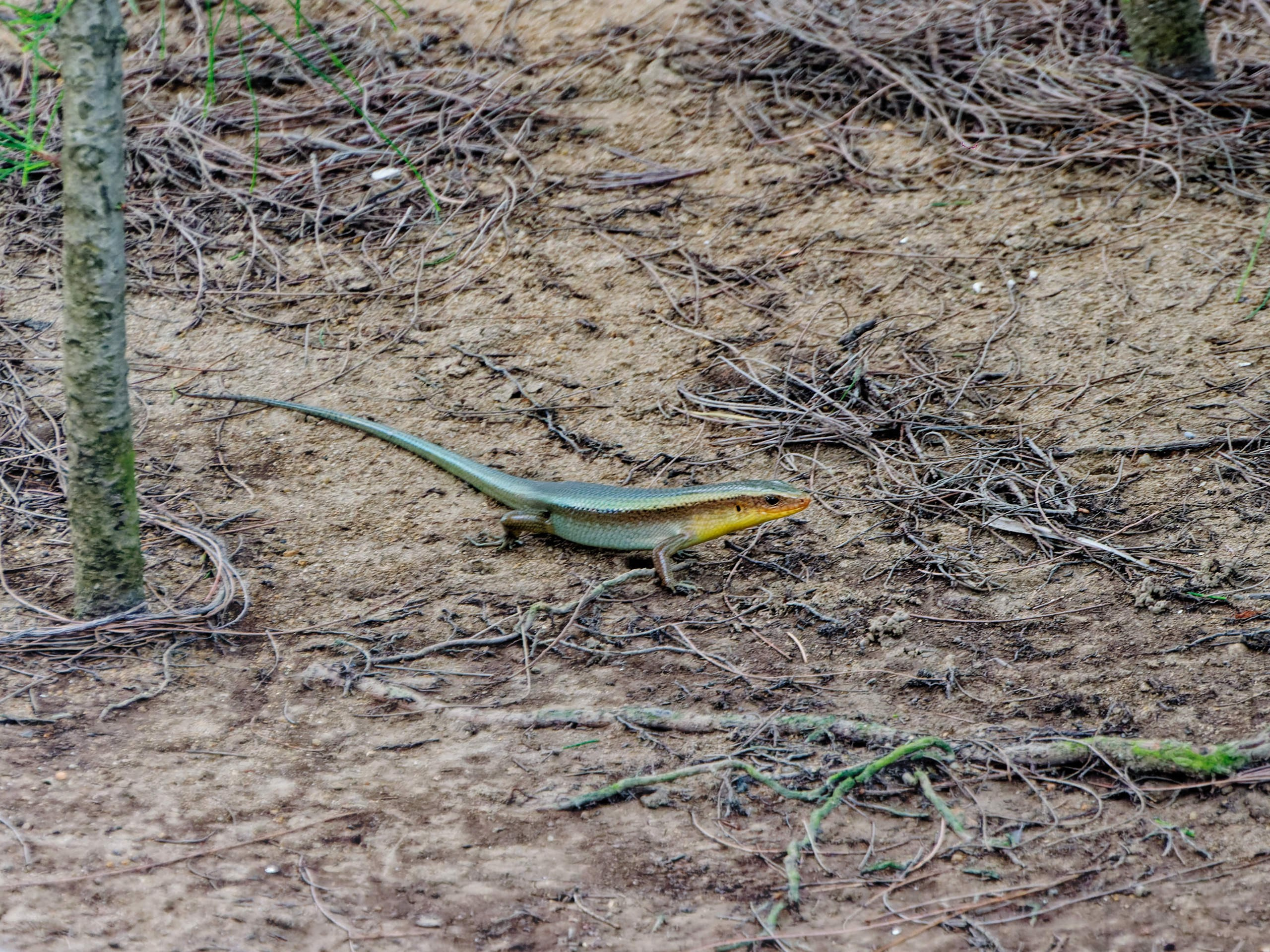 Нячанг 2023. Избранные фотографии