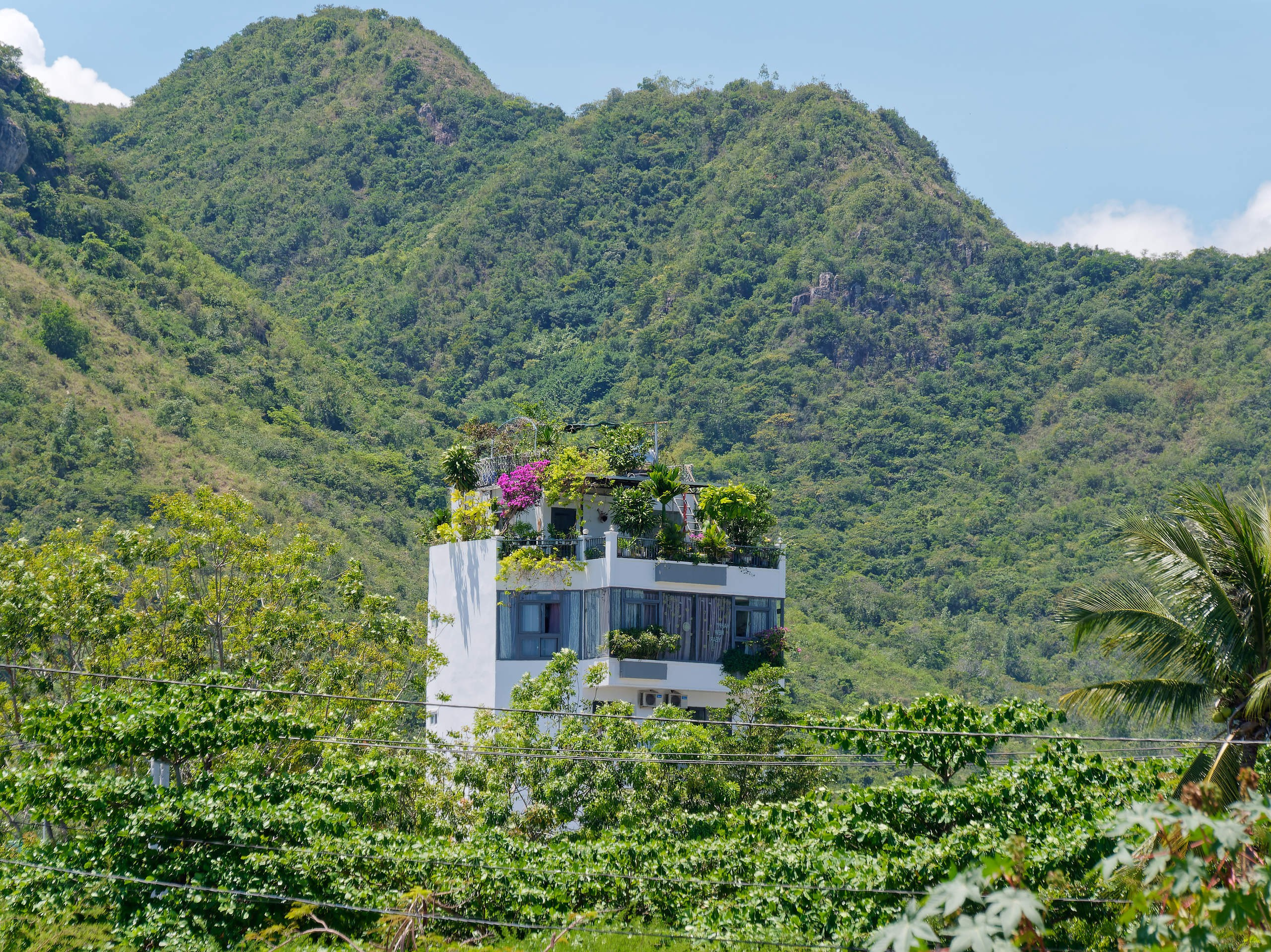 Нячанг 2025 (3). Избранные фотографии