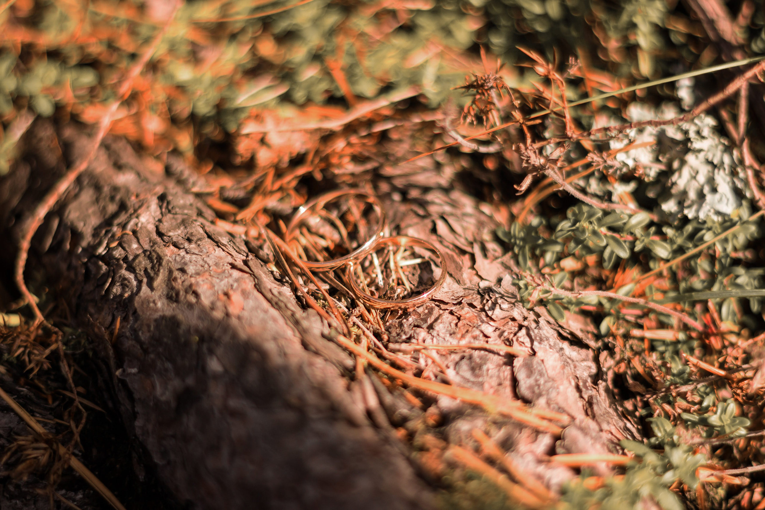 Свадебные. Анастасия Тен