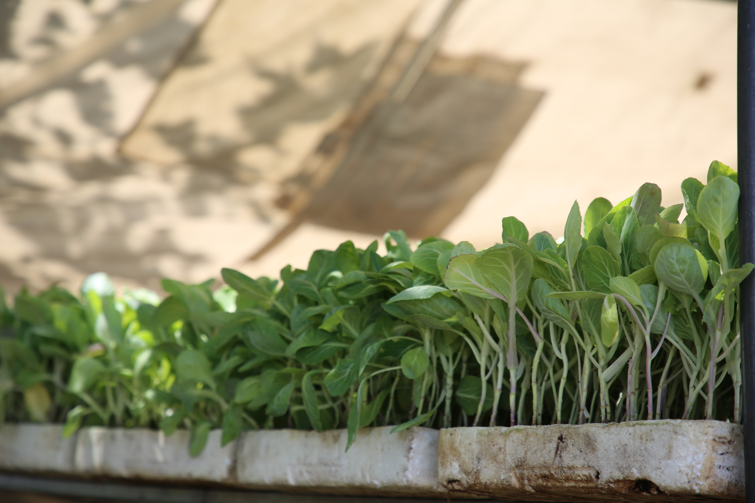 Espihnio, Portugal. Andrey Filippov Photographer