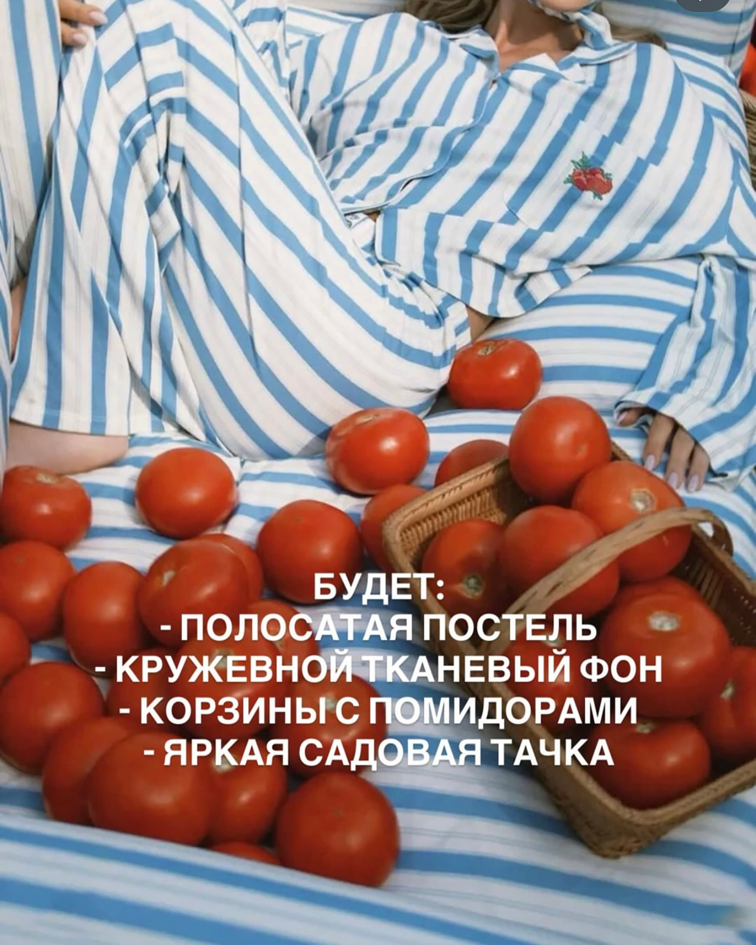 Референсы для примерного понимания оформления в Ботаническом сады