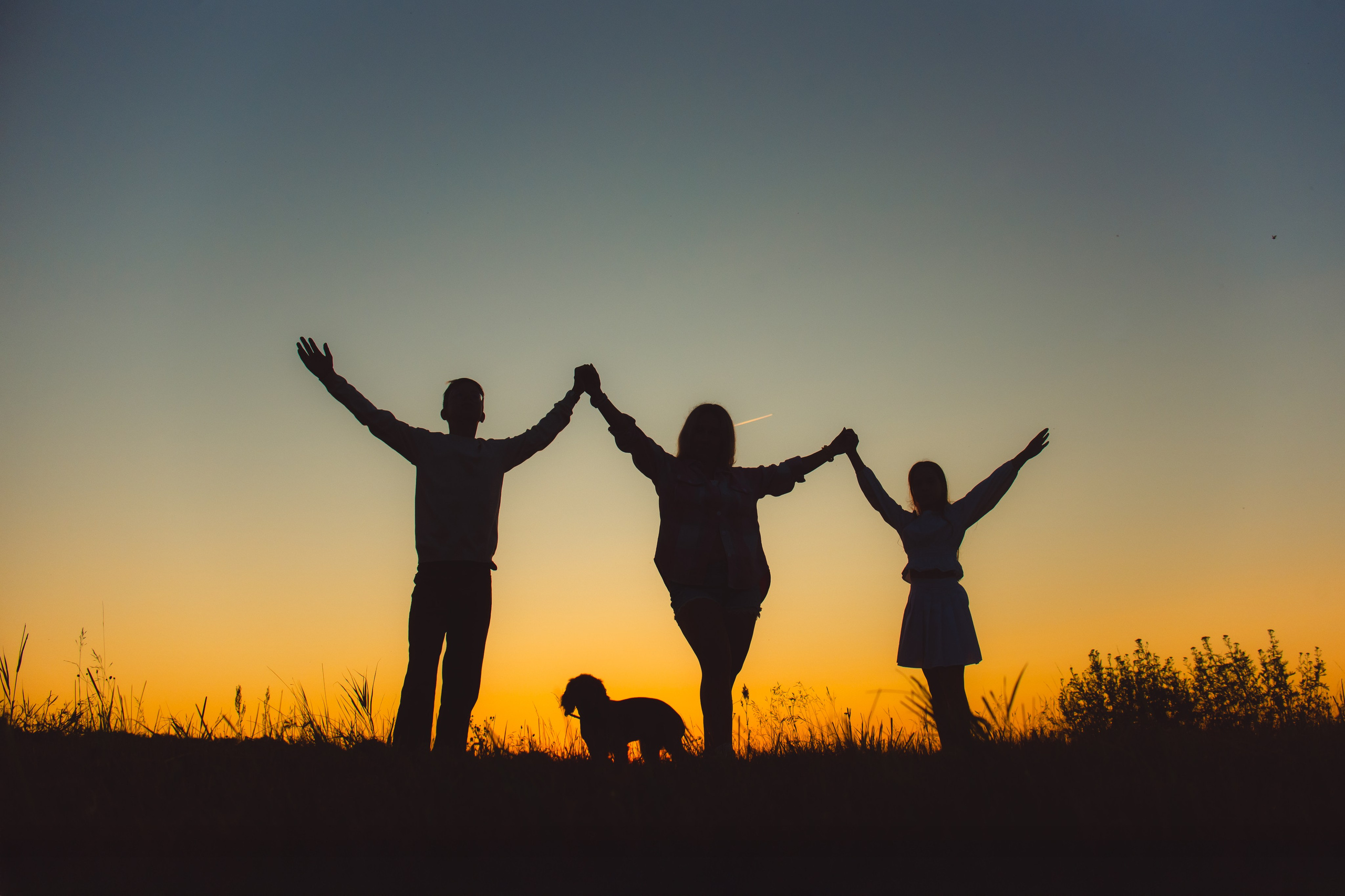 Наташа, Агата, Назар и Август — 17.07.2025. Фотограф — Анималист | Анна Абрамова