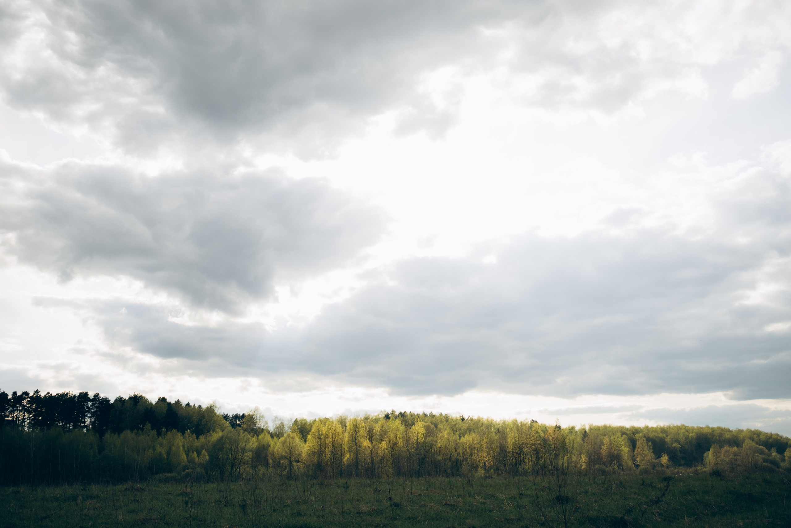 Istra. Женский фотограф Истра