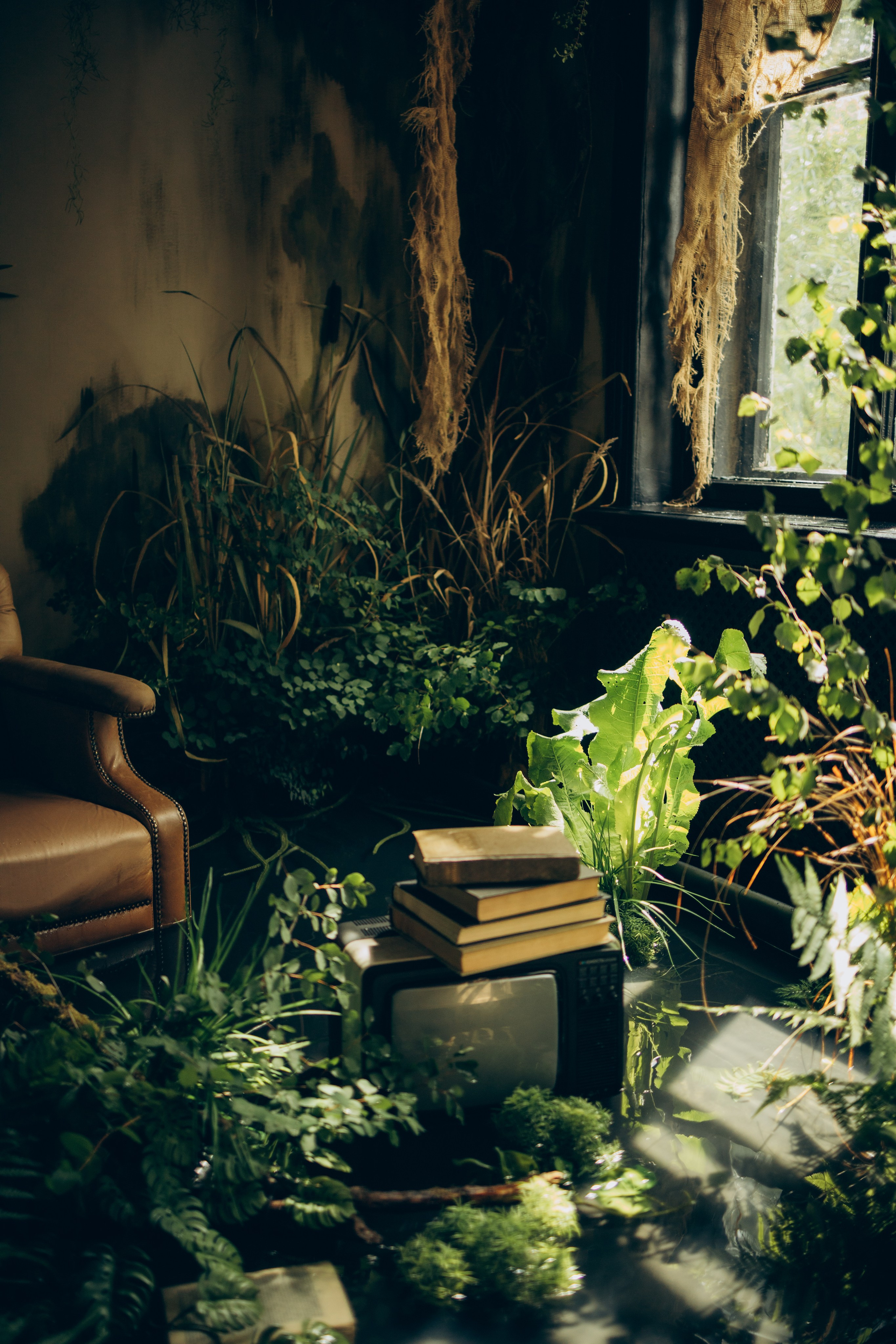 Маша. Женский фотограф Истра