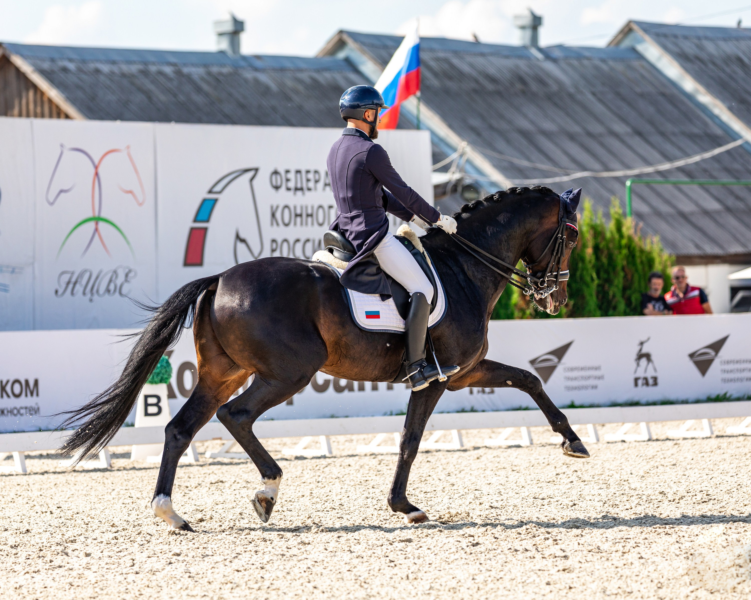 Выездка. Mrs.Aquarelia Конный фотограф Марианна Леонтьева