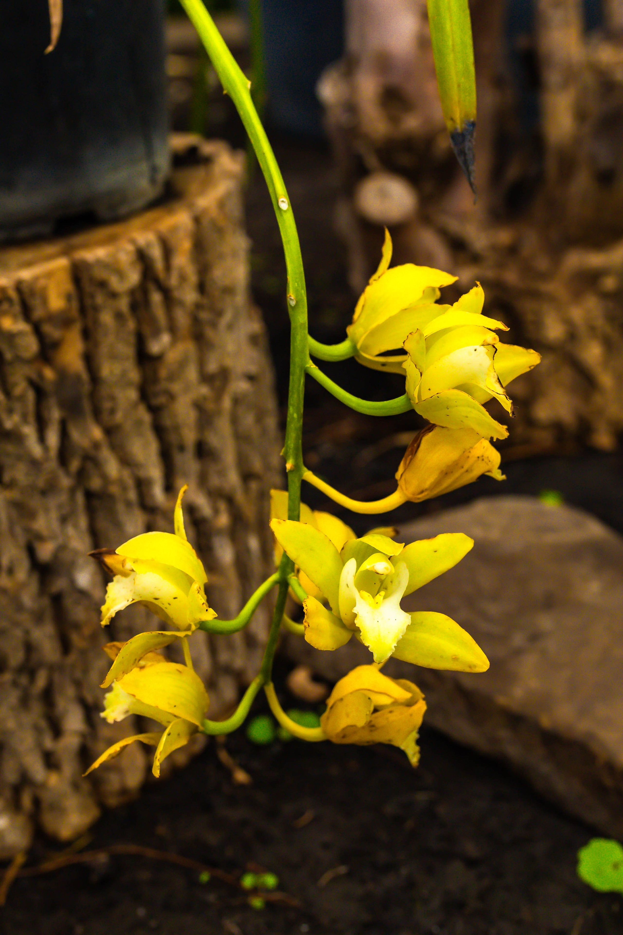 Фотографии природы Липецка. Свадебный и семейный фотограф Виолетта в Липецке
