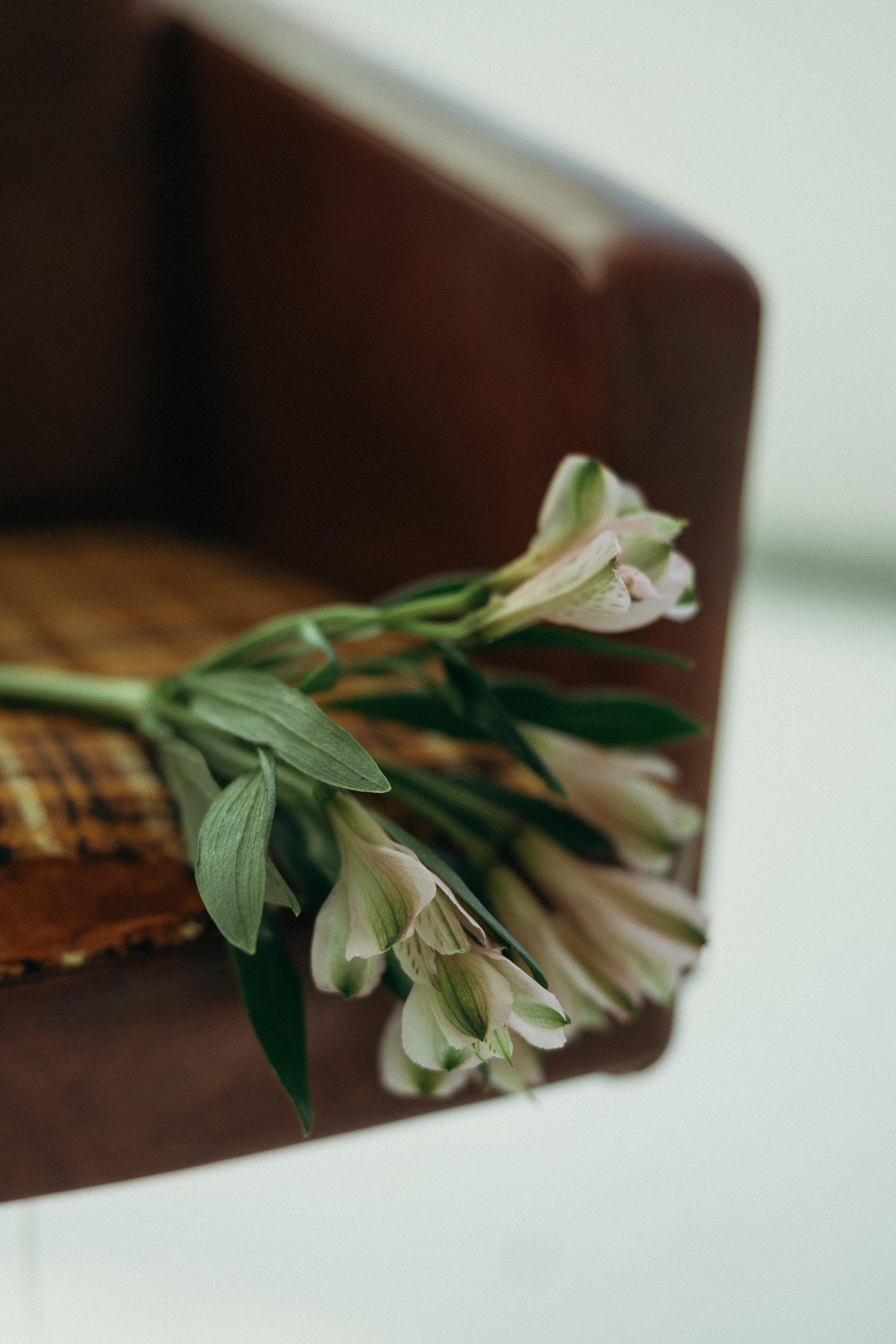 Фотограф Екатерина Заречнова