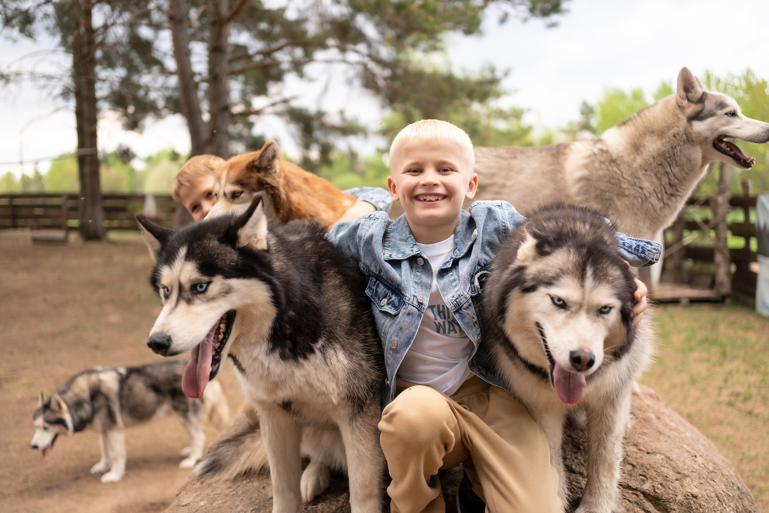 Хаски парк. Семейный и свадебный фотограф Минск, Беларусь Анна Орловская