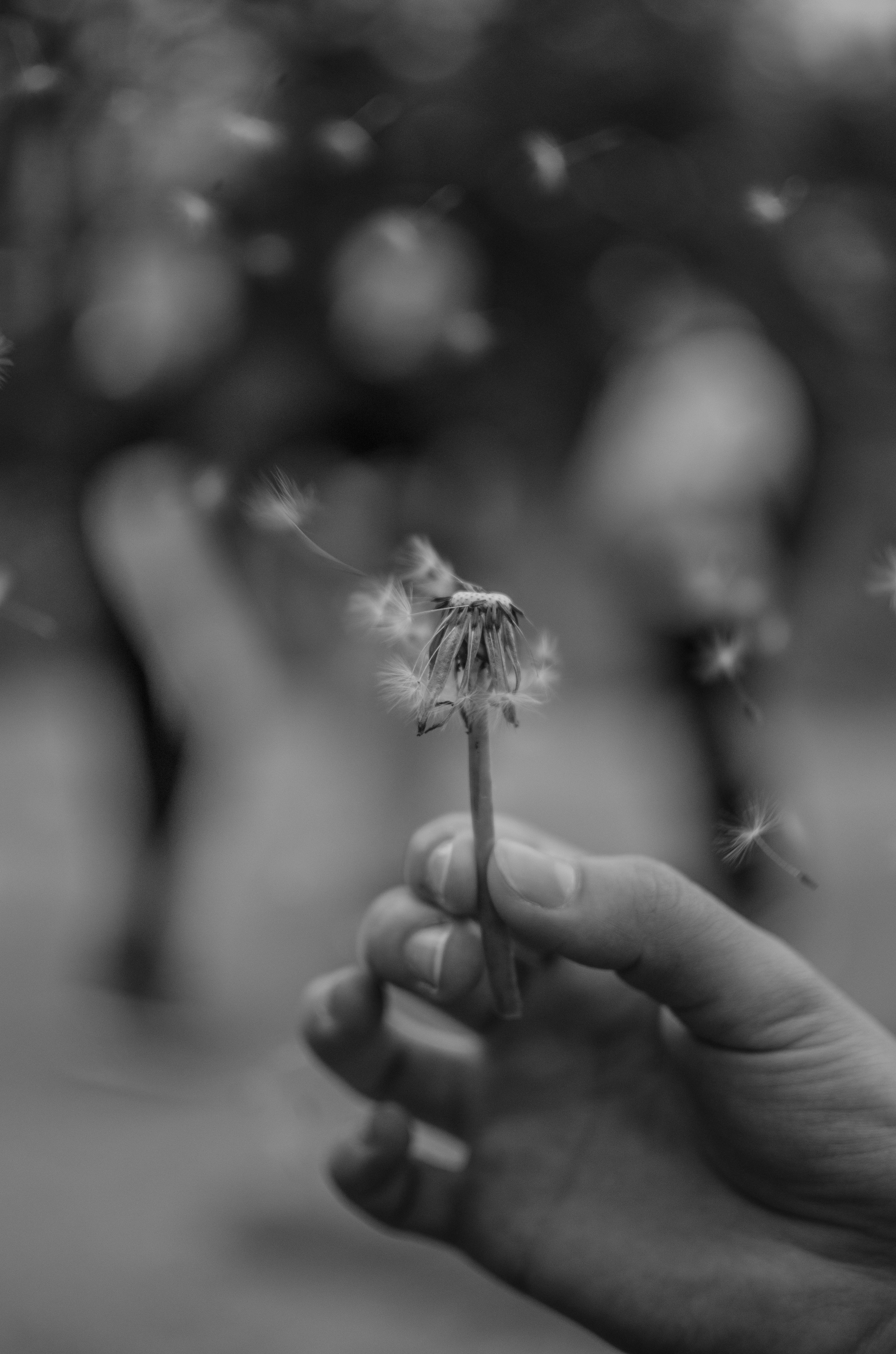 Nature. Фотограф/Видеограф