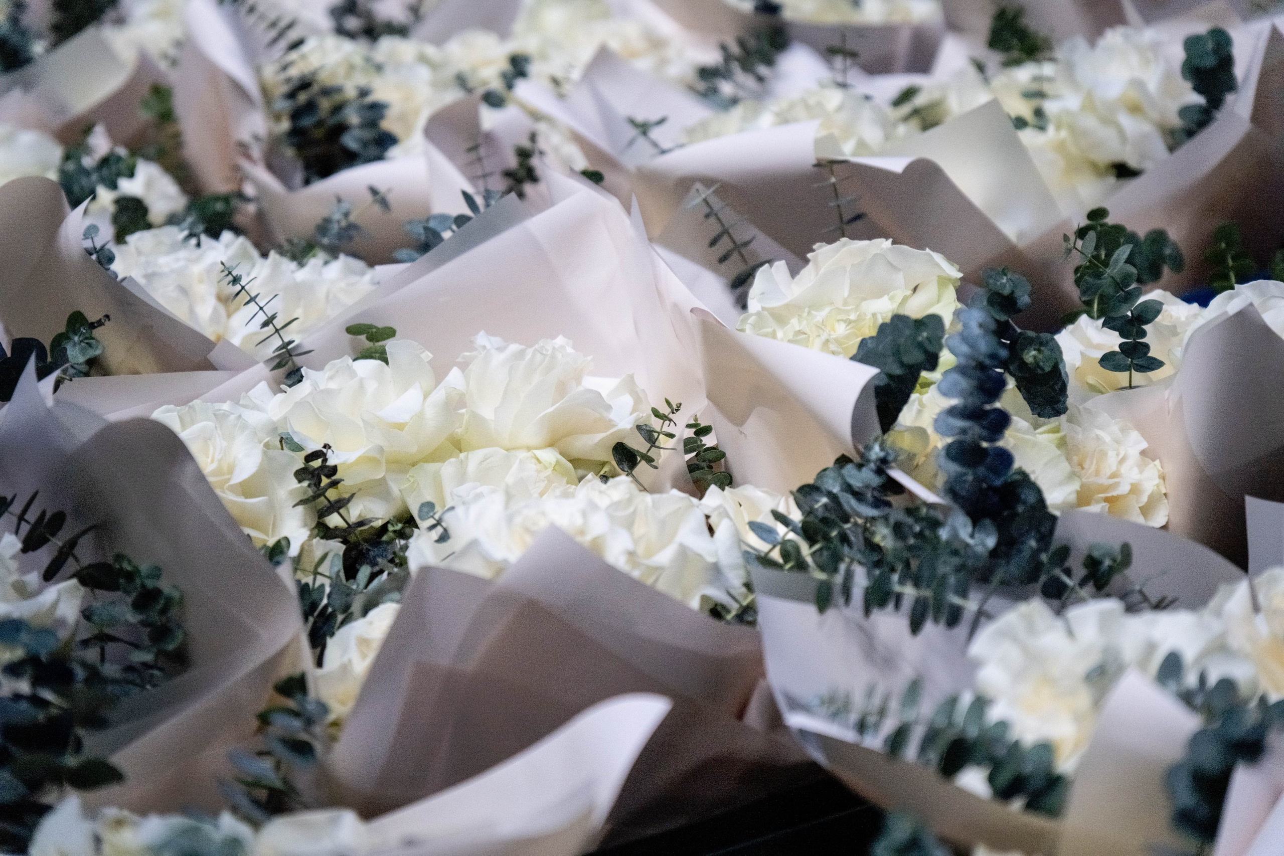 Репортаж. Фотограф/Видеограф