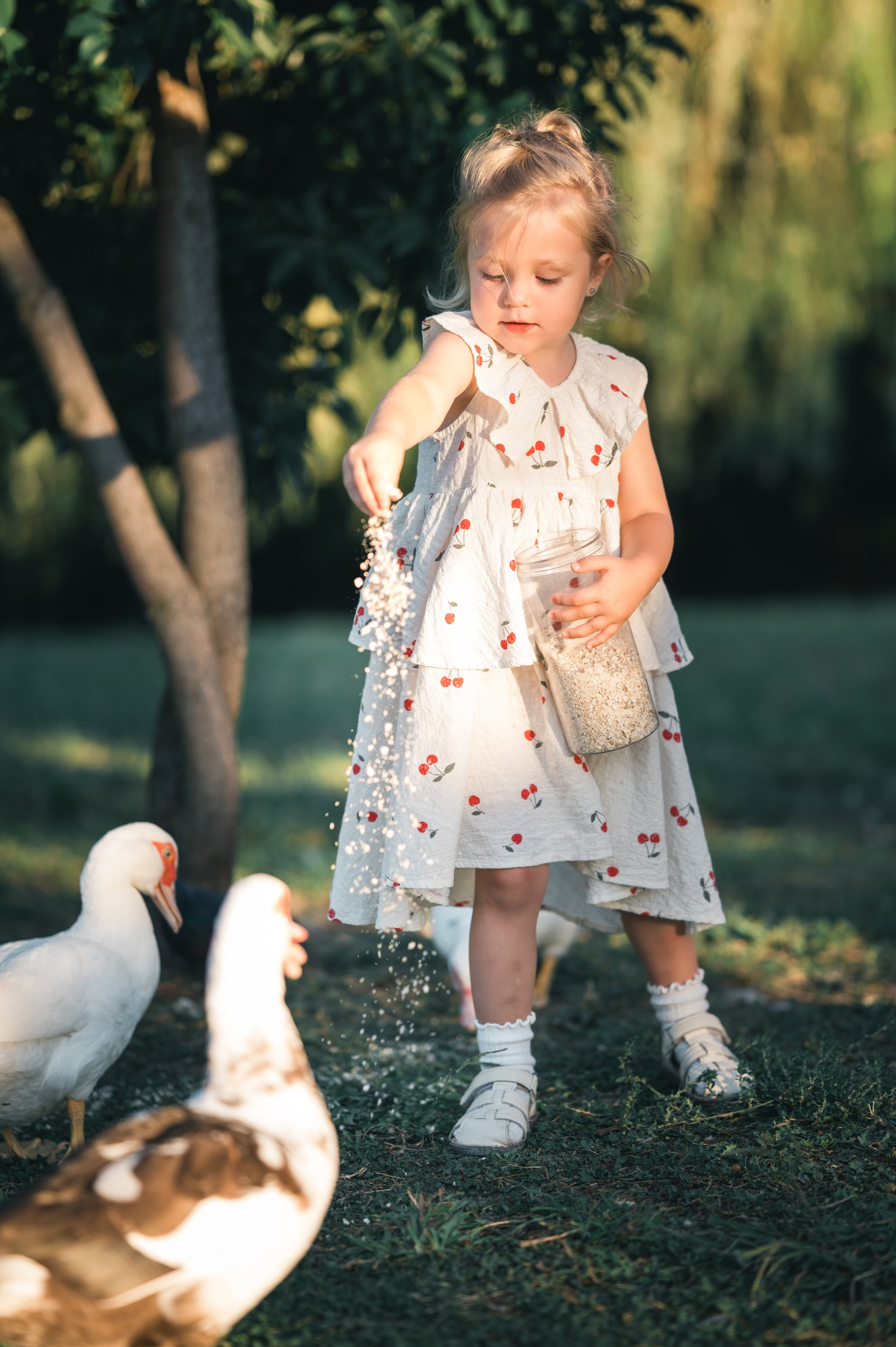 Семейное. Главная