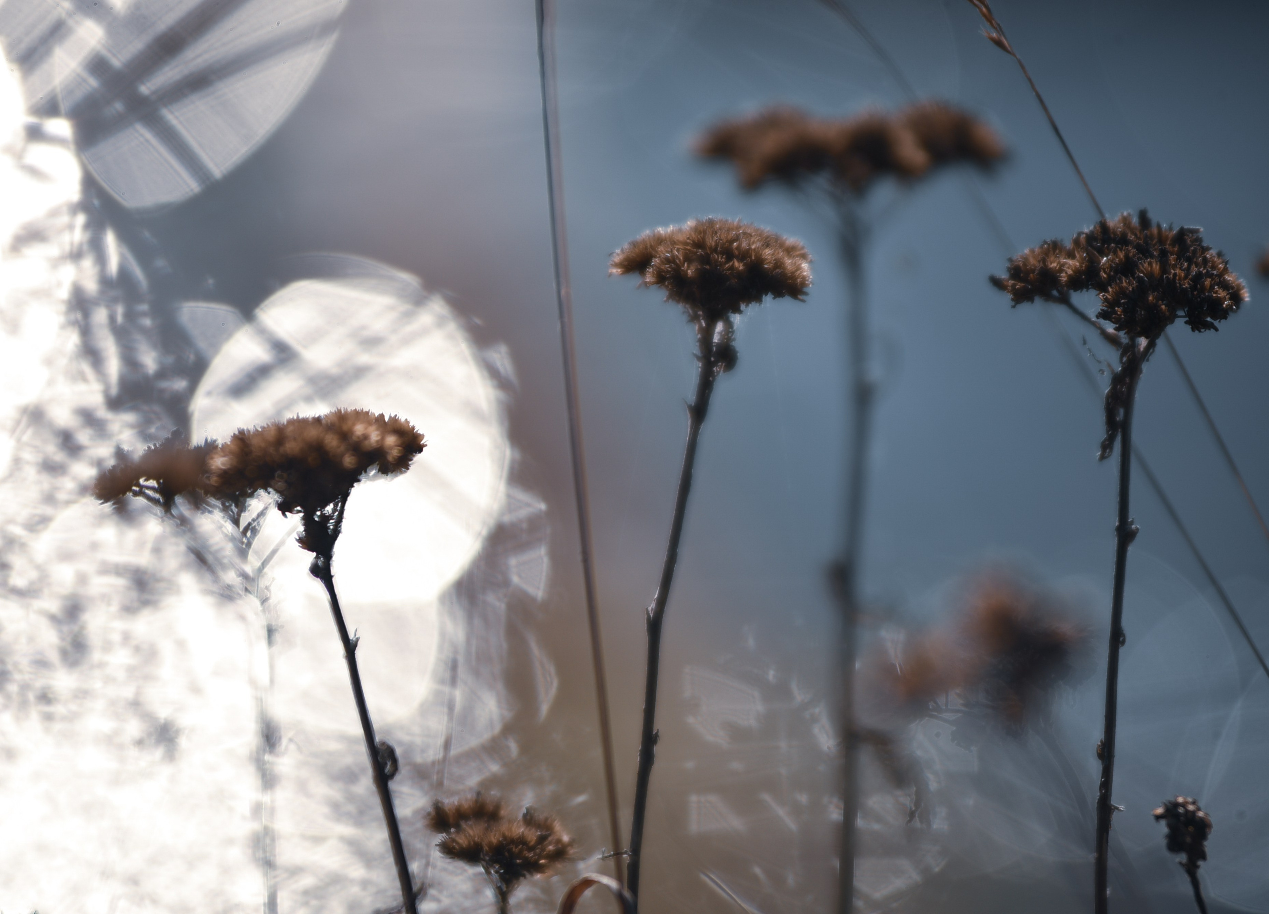 Nature. Anastasia Serdyuk, travel photographer, travel photo, portraits, stories, fineart prints