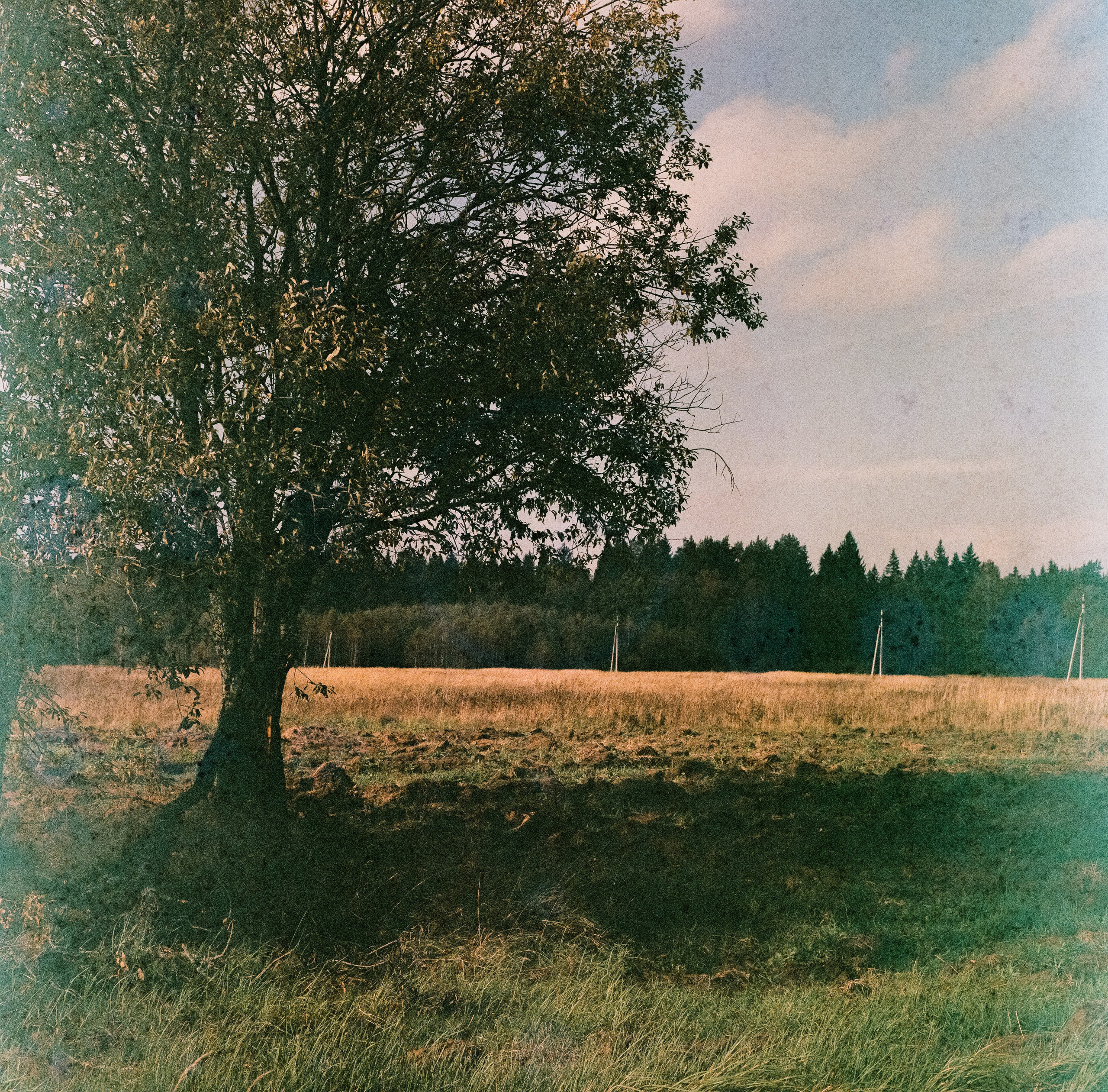 Kowa Six с объективом Kowa 85 mm f/2.8 / Fujicolor Super HR 100