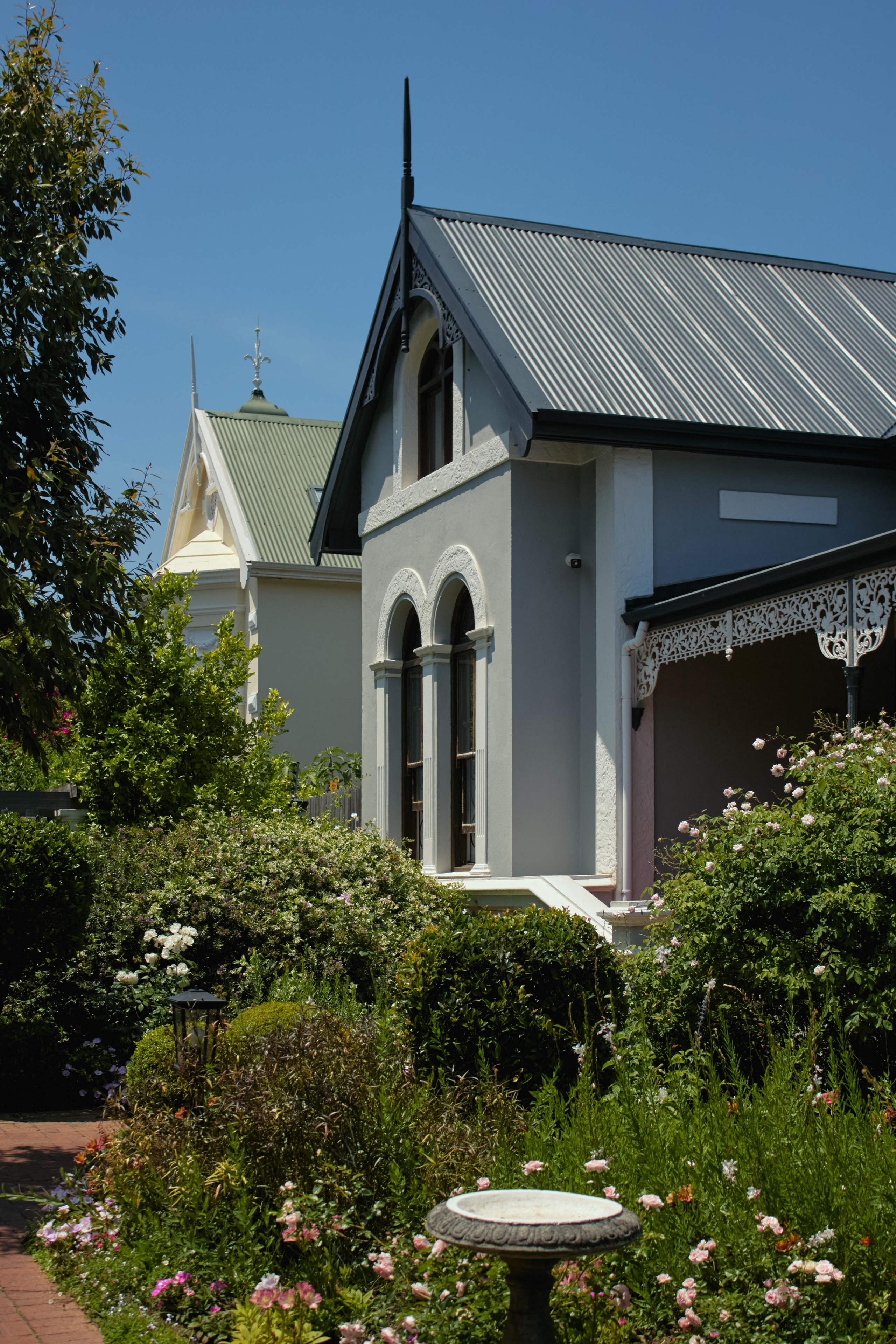 ЮАР. Профессиональный Фотограф во Владимире, в Москве и в Суздале — Полина Романычева