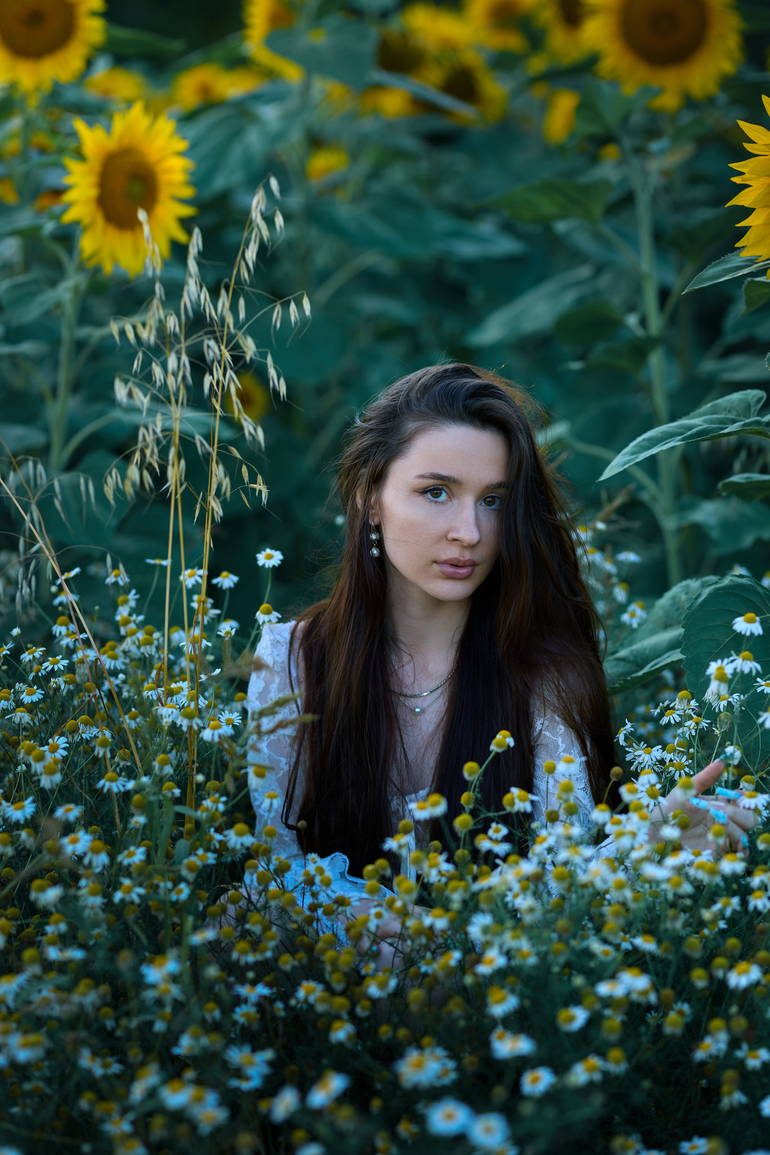 Фотосессия в подсолнухах 2. Владимир Суздалов (ProMaXe) — Портретный фотограф, тематические фотосессии в Чебоксарах