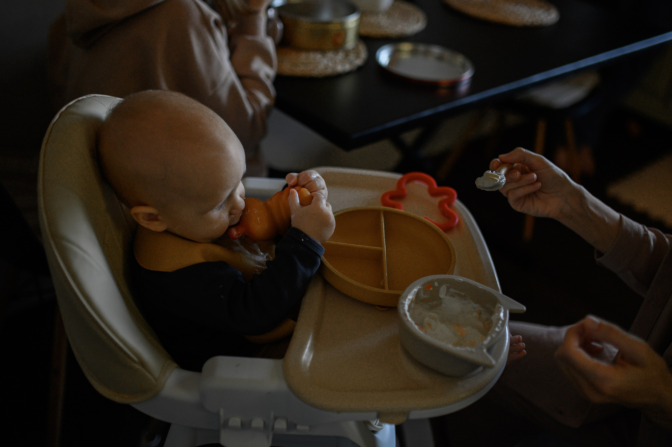 Настя, Юра, Лев, Феликс. Www.ostermiller.ru