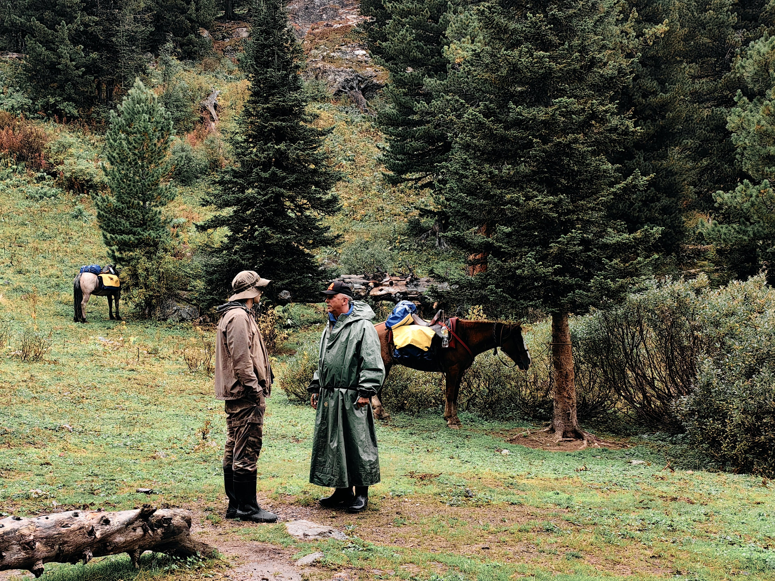 Алтай. Юрий Березнюк. Фотожурналистика