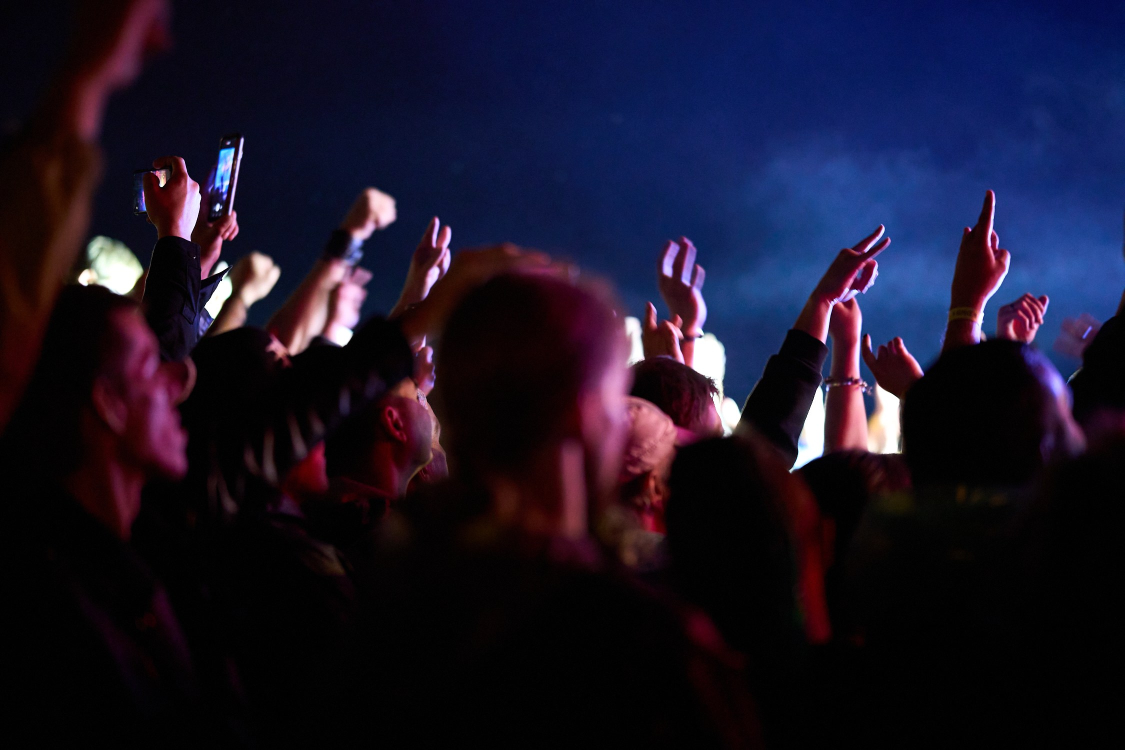 Вереск IX (2025). Часть 2 (14 июня). Фотографирует красивое Денис Горностаев