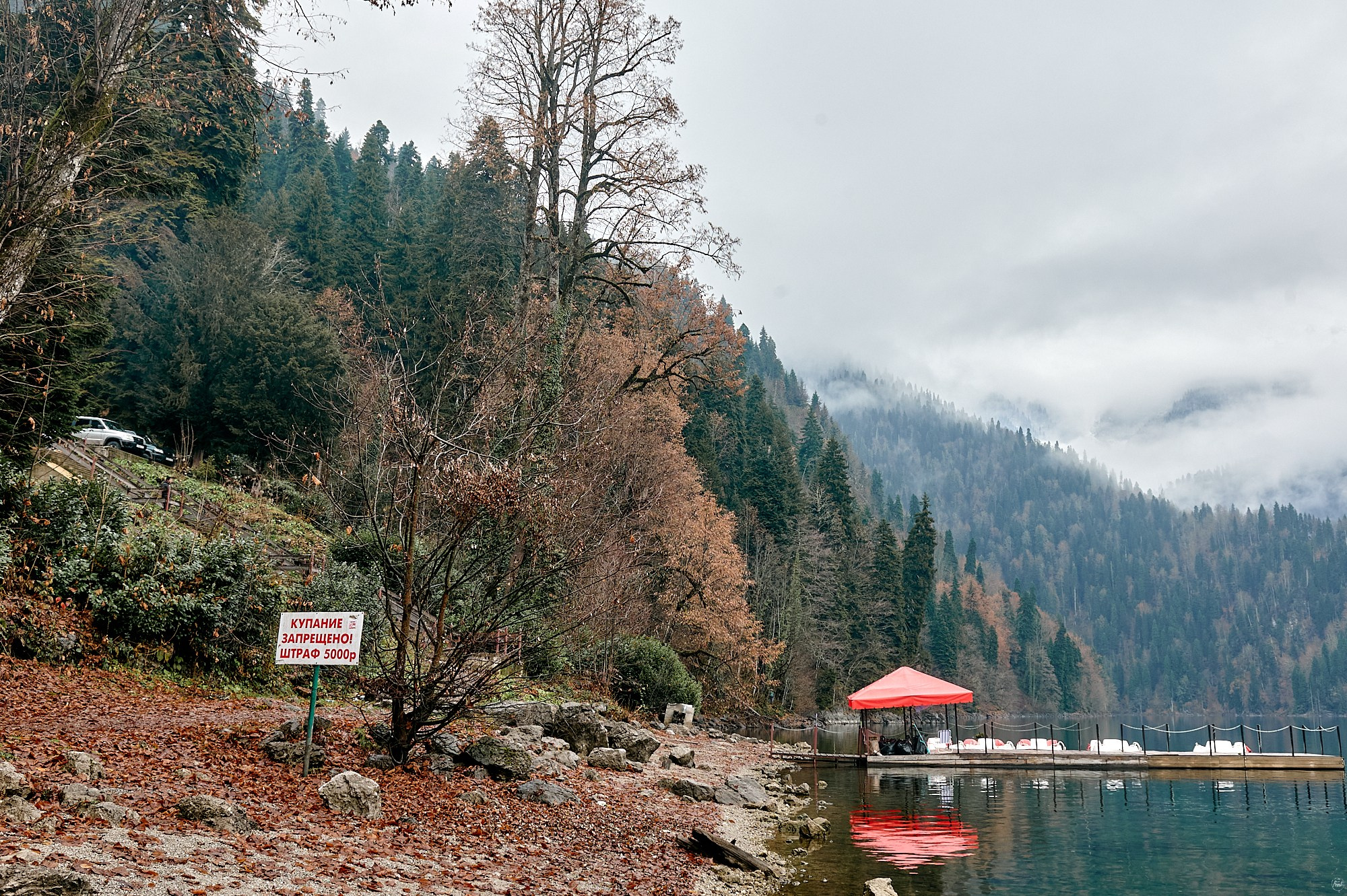 Озеро Рица, Абхазия. Декабрь 2024. Фотографии отовсюду и обо всем