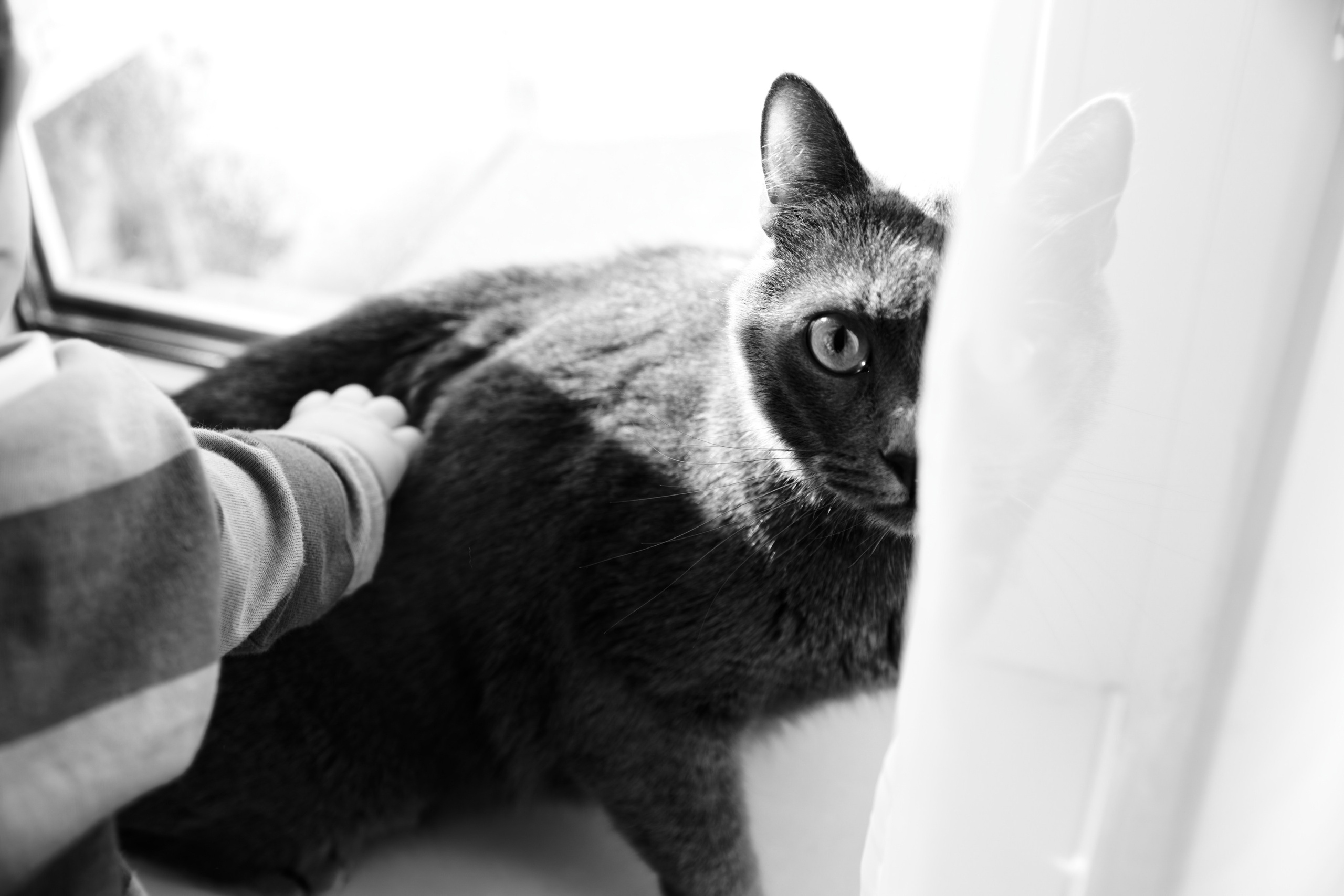 Семья Гуторовых. Семейный фотограф — Макс Белогрудов