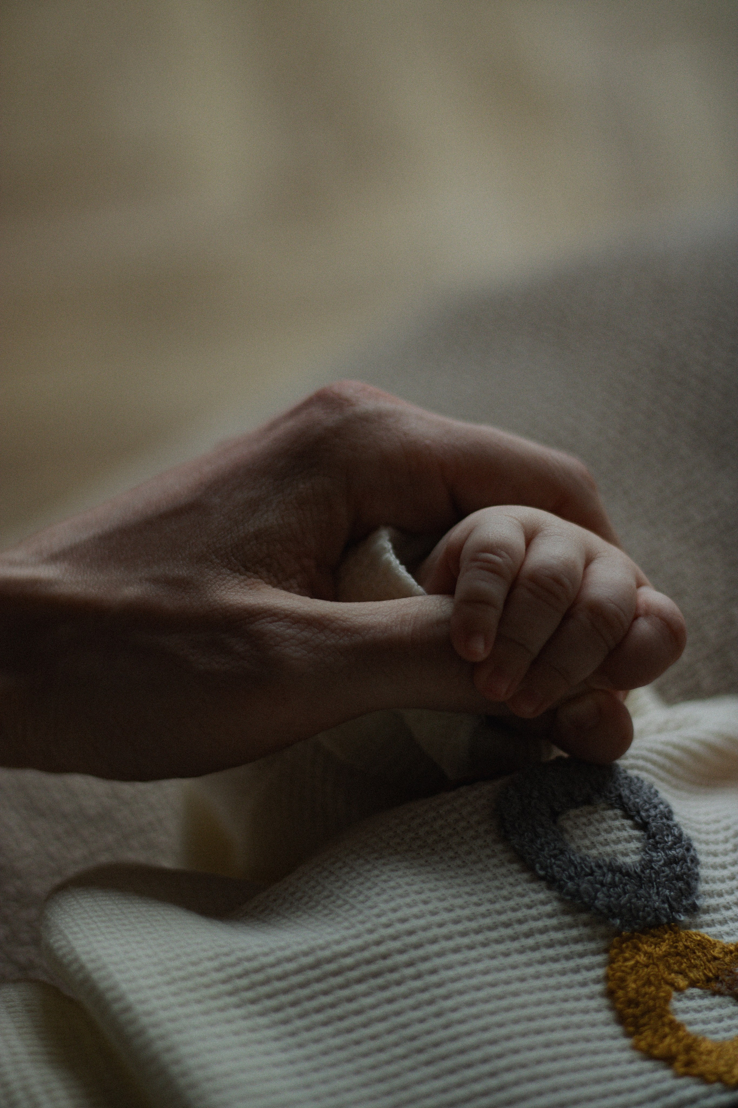 Victor + Victoria + Nicole + Bogdan. Lusy Redina | Семейный Фотограф | Волгоград