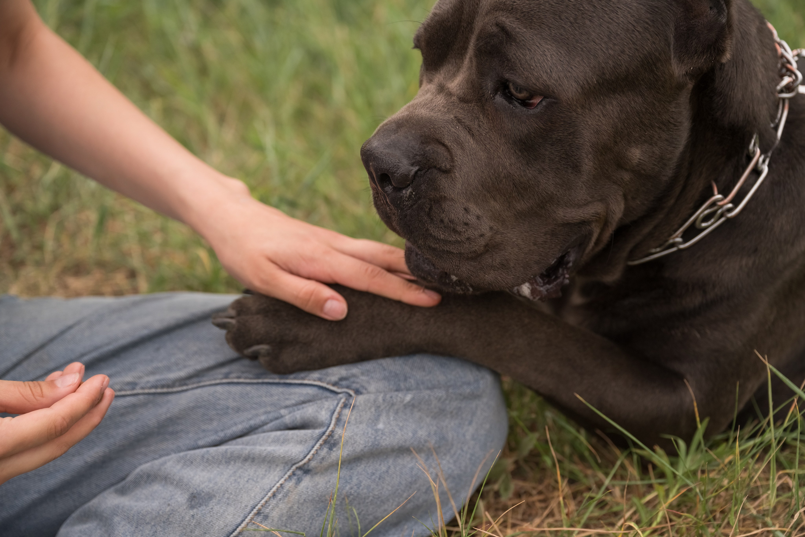 Дина, Яна и Лео. Фотограф Саратов Юлия Петрова