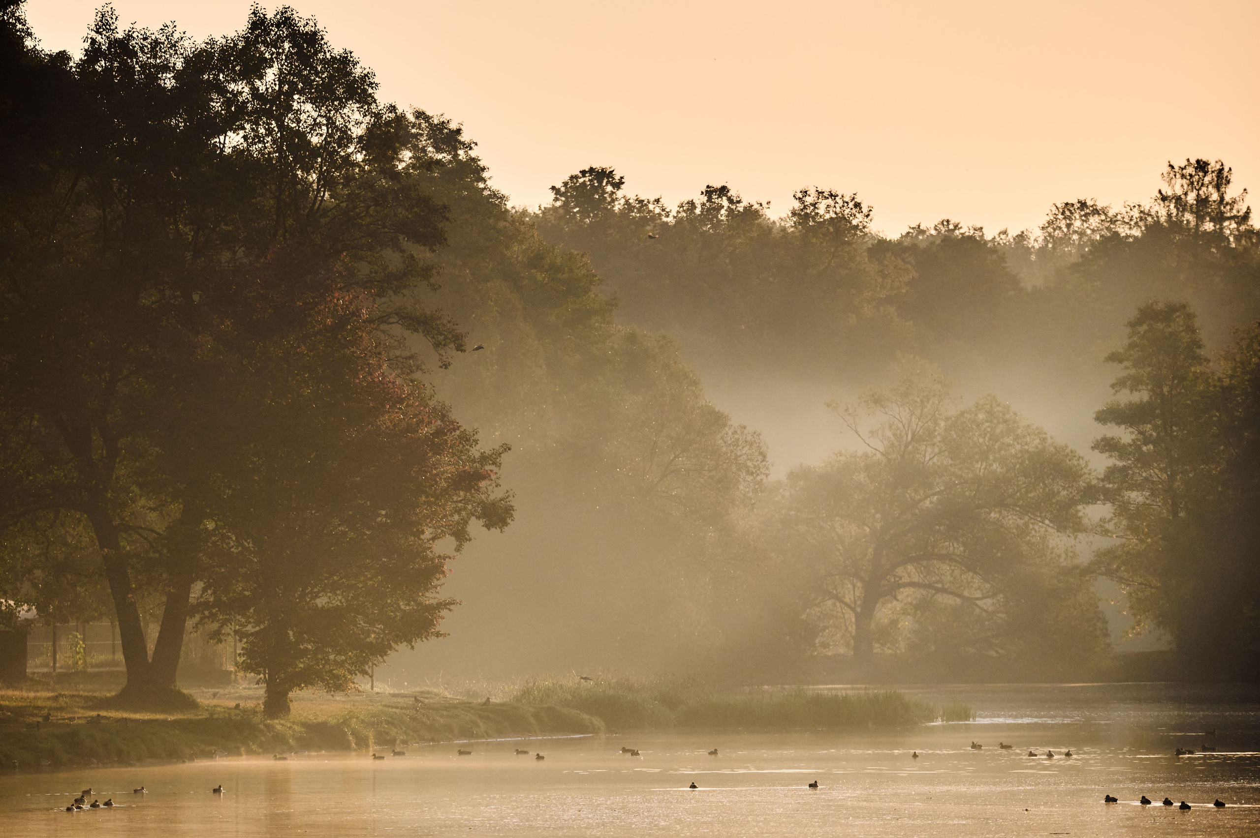 Пейзажи. Никита Хохловский фото и видео продакшн